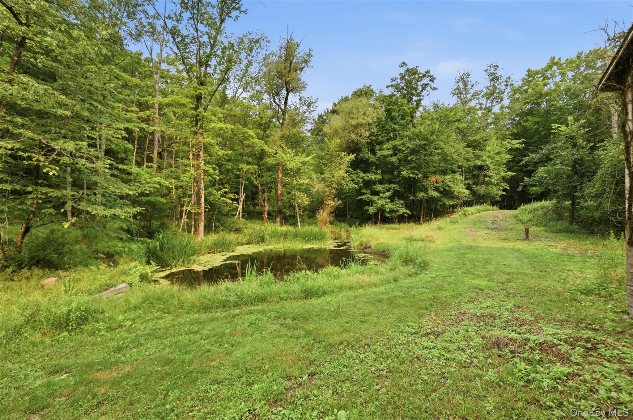 Single Family Atwood Road  Ulster County, NY 12484, MLS-1027315-45