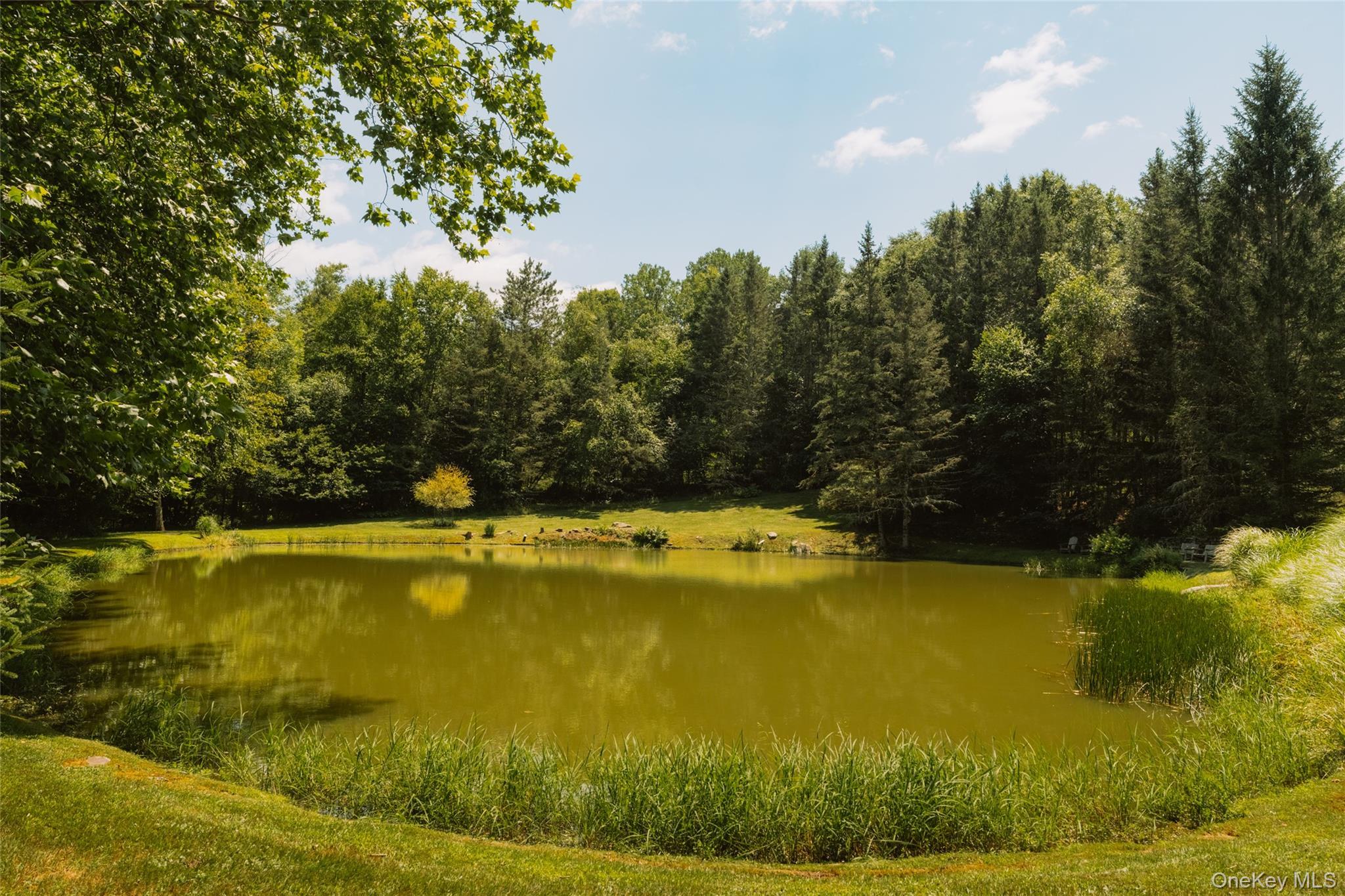 Single Family Winkelstern Lane  Sullivan County, NY 12750, MLS-1027342-39