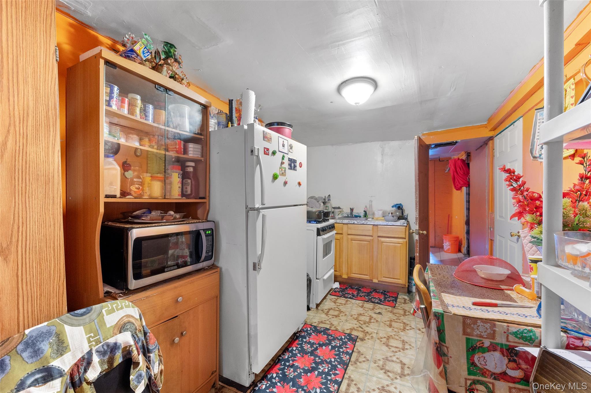 Single Family 100th Street Queens, NY 11368, MLS-1027352-19