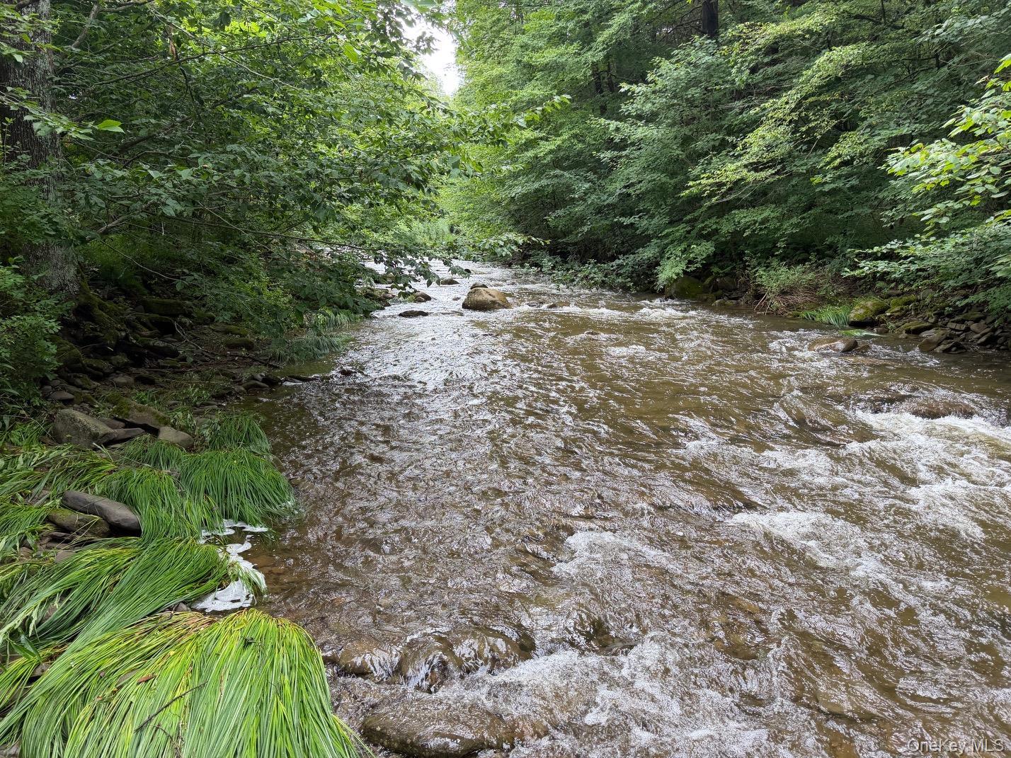 Single Family Basket Road Sullivan County, NY 12760, MLS-1027380-10