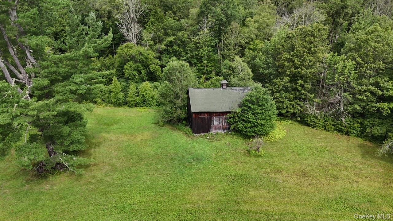 Single Family Basket Road Sullivan County, NY 12760, MLS-1027380-4