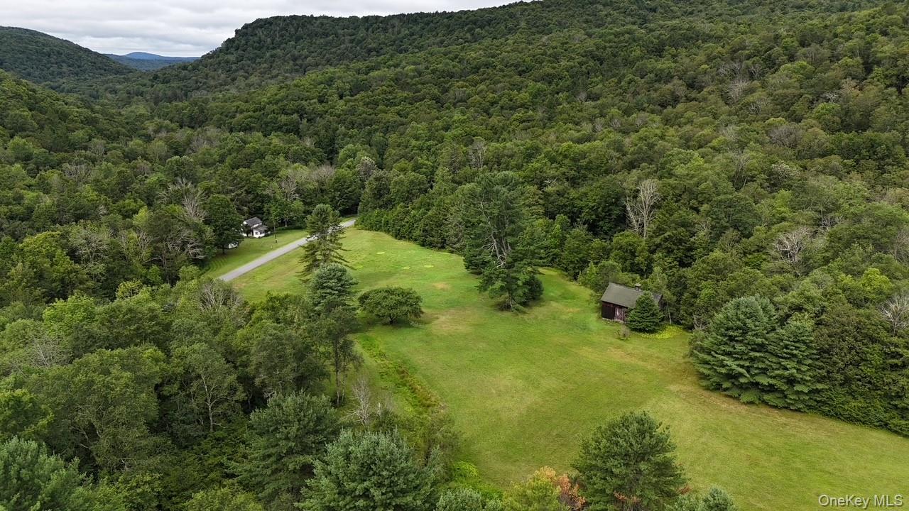 Single Family Basket Road Sullivan County, NY 12760, MLS-1027380-5