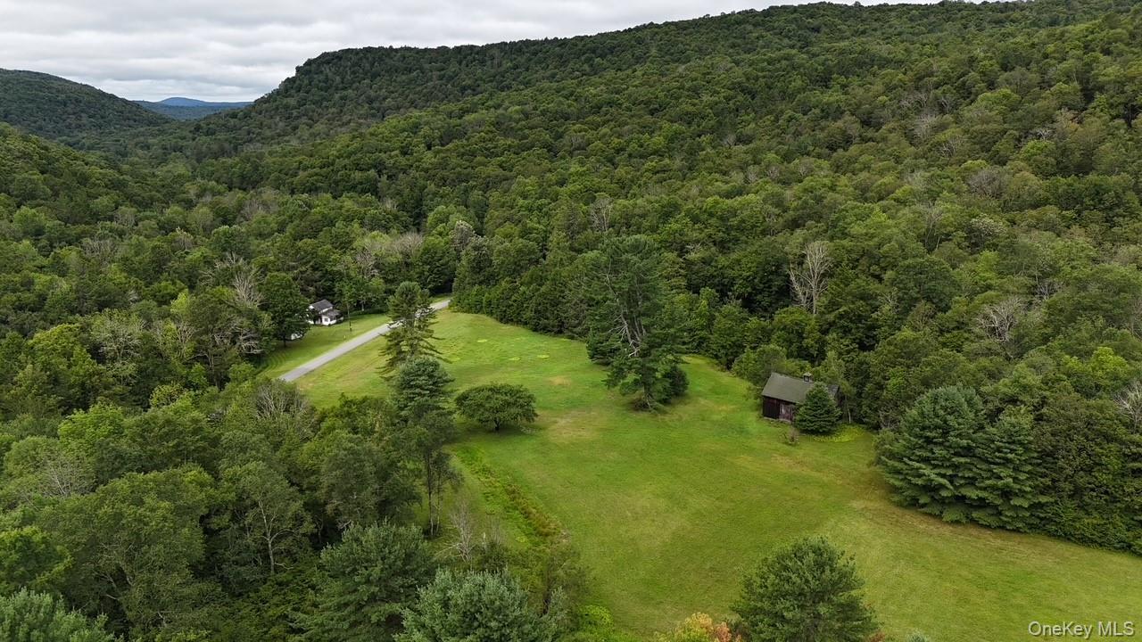 Single Family Basket Road Sullivan County, NY 12760, MLS-1027380-6