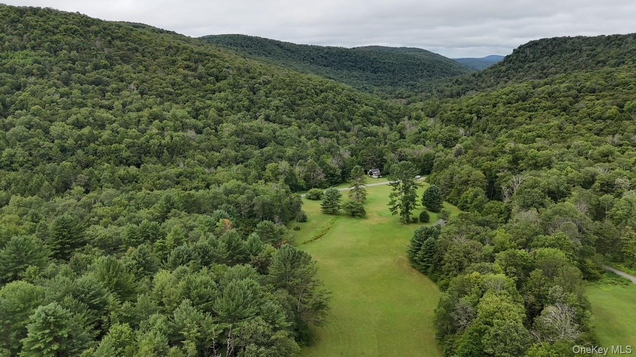 Single Family Basket Road Sullivan County, NY 12760, MLS-1027380-7