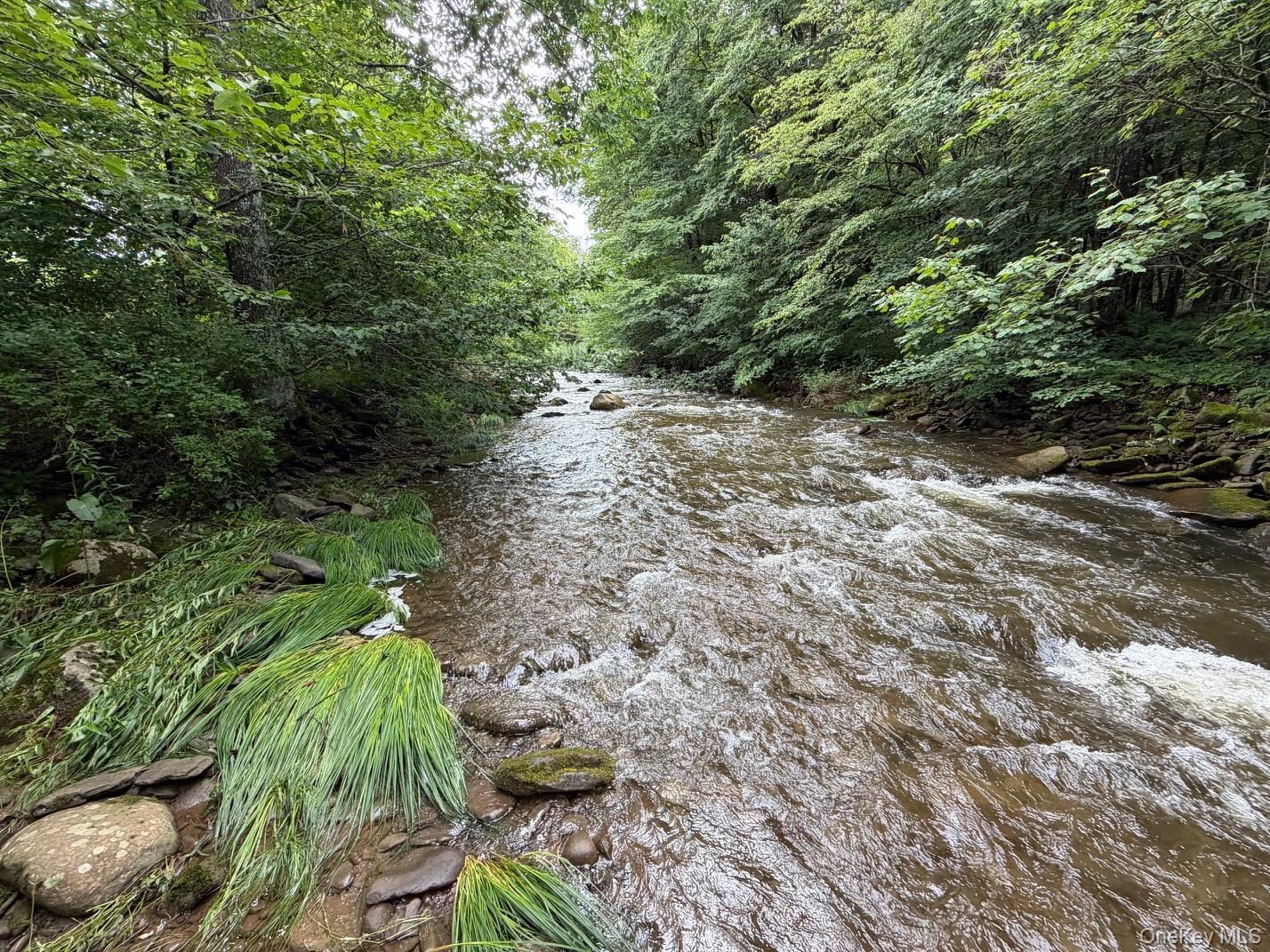 Single Family Basket Road Sullivan County, NY 12760, MLS-1027380-9
