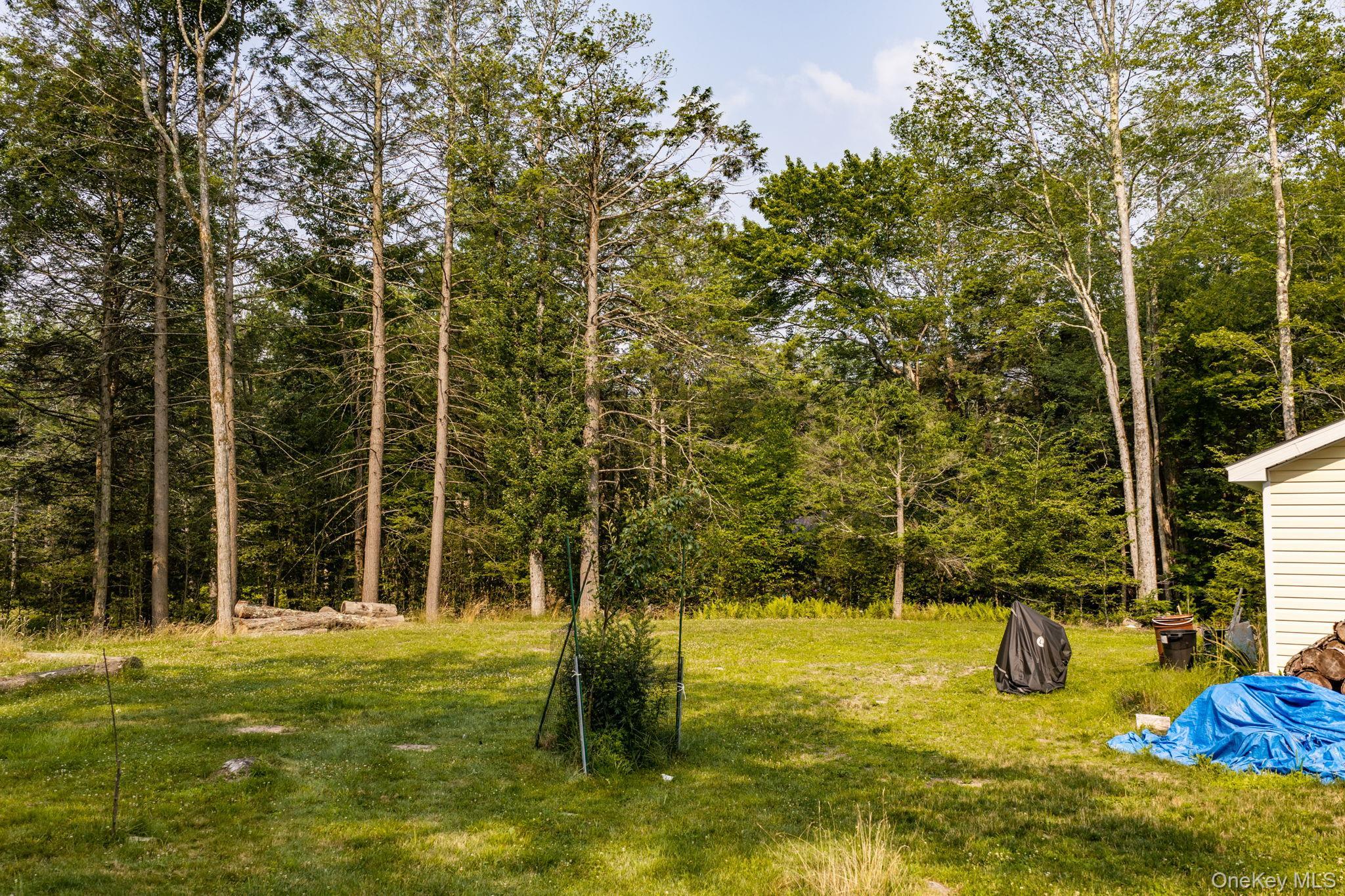 Single Family Rose Valley Road Sullivan County, NY 12701, MLS-1027386-31