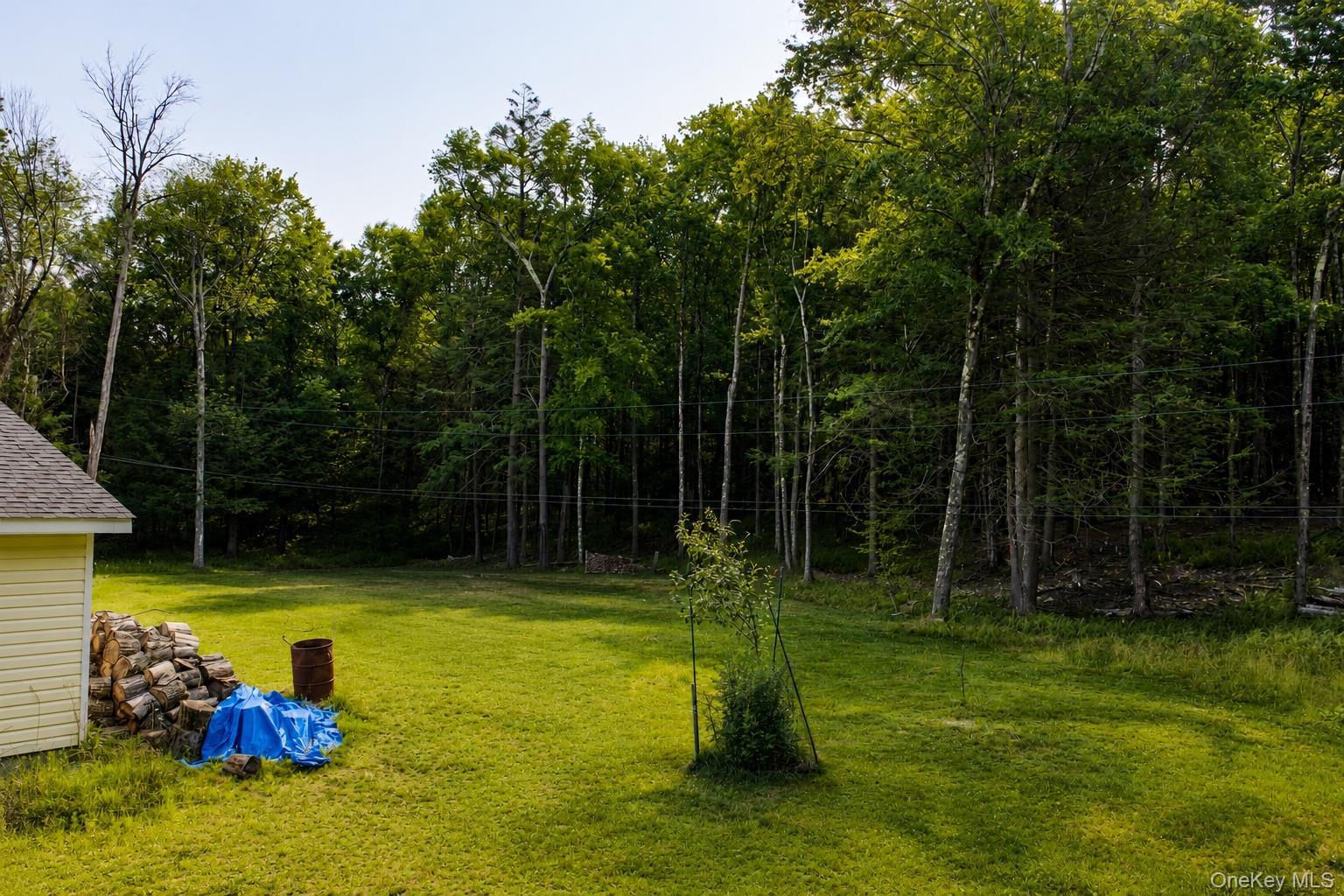 Single Family Rose Valley Road Sullivan County, NY 12701, MLS-1027386-32