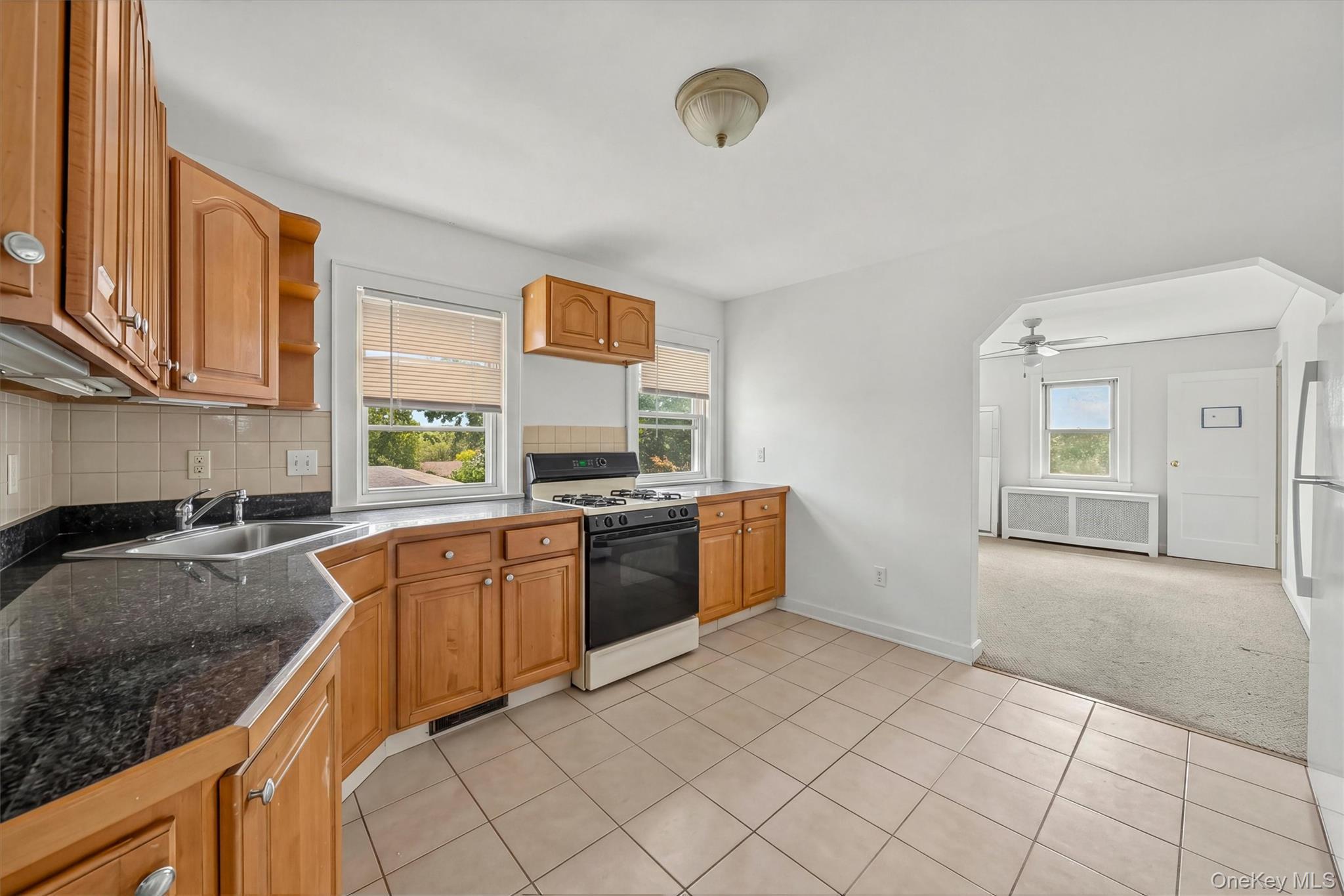 Single Family Fremont Street Westchester County, NY 10528, MLS-1027388-14