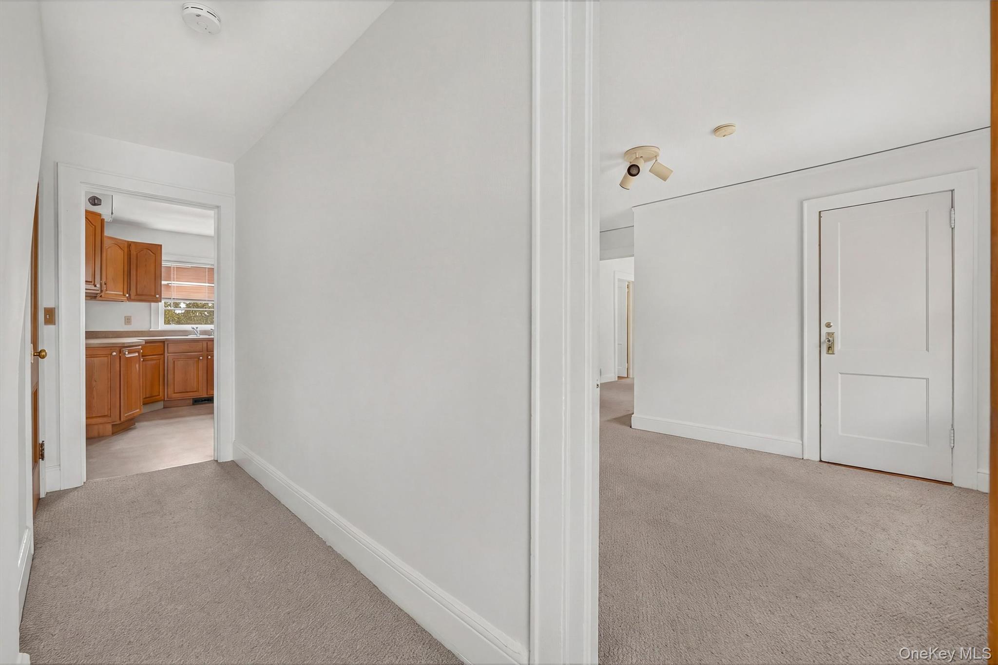 Single Family Fremont Street Westchester County, NY 10528, MLS-1027388-26