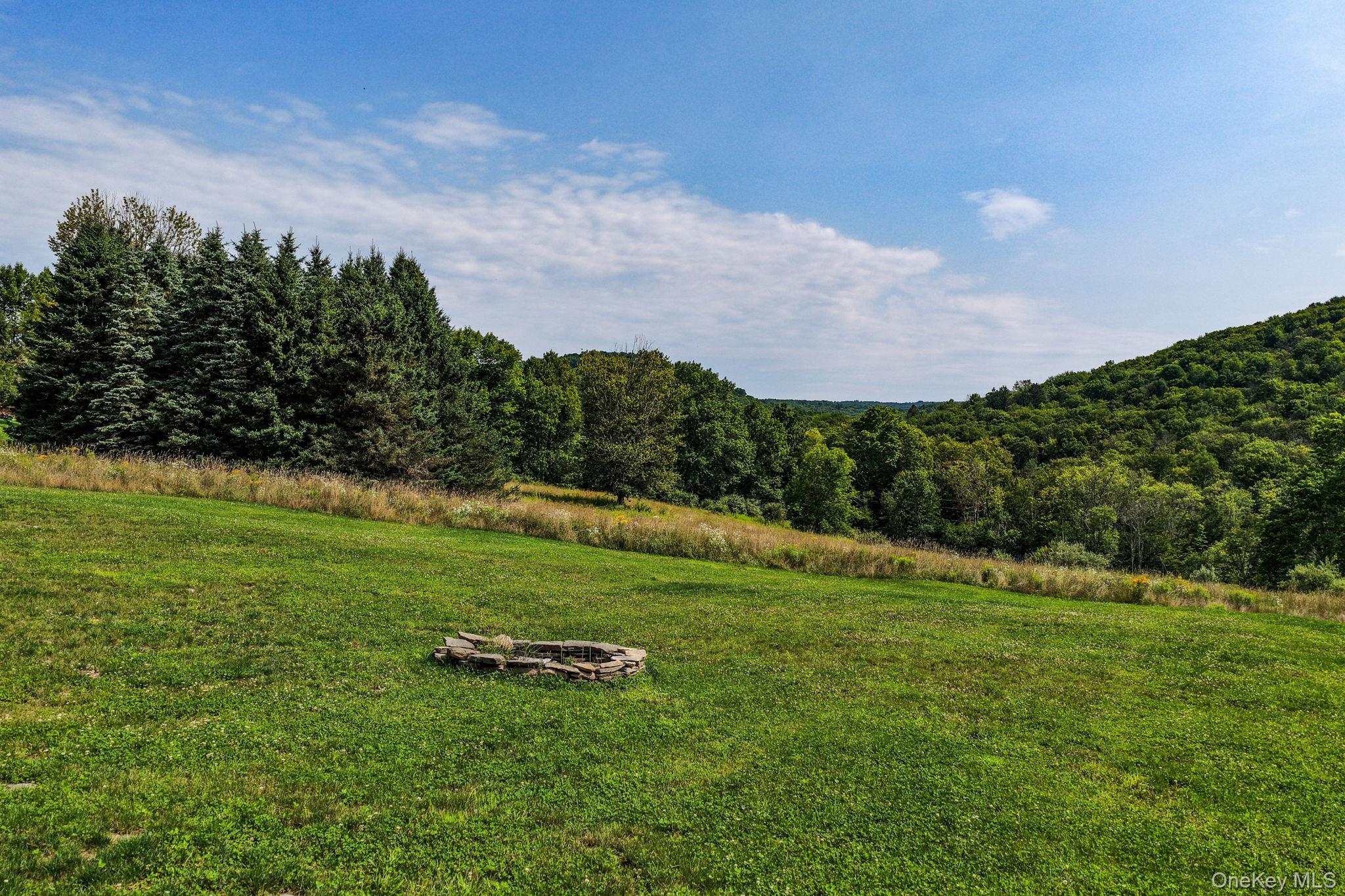 Single Family Nelson Road  Sullivan County, NY 12741, MLS-1027391-38