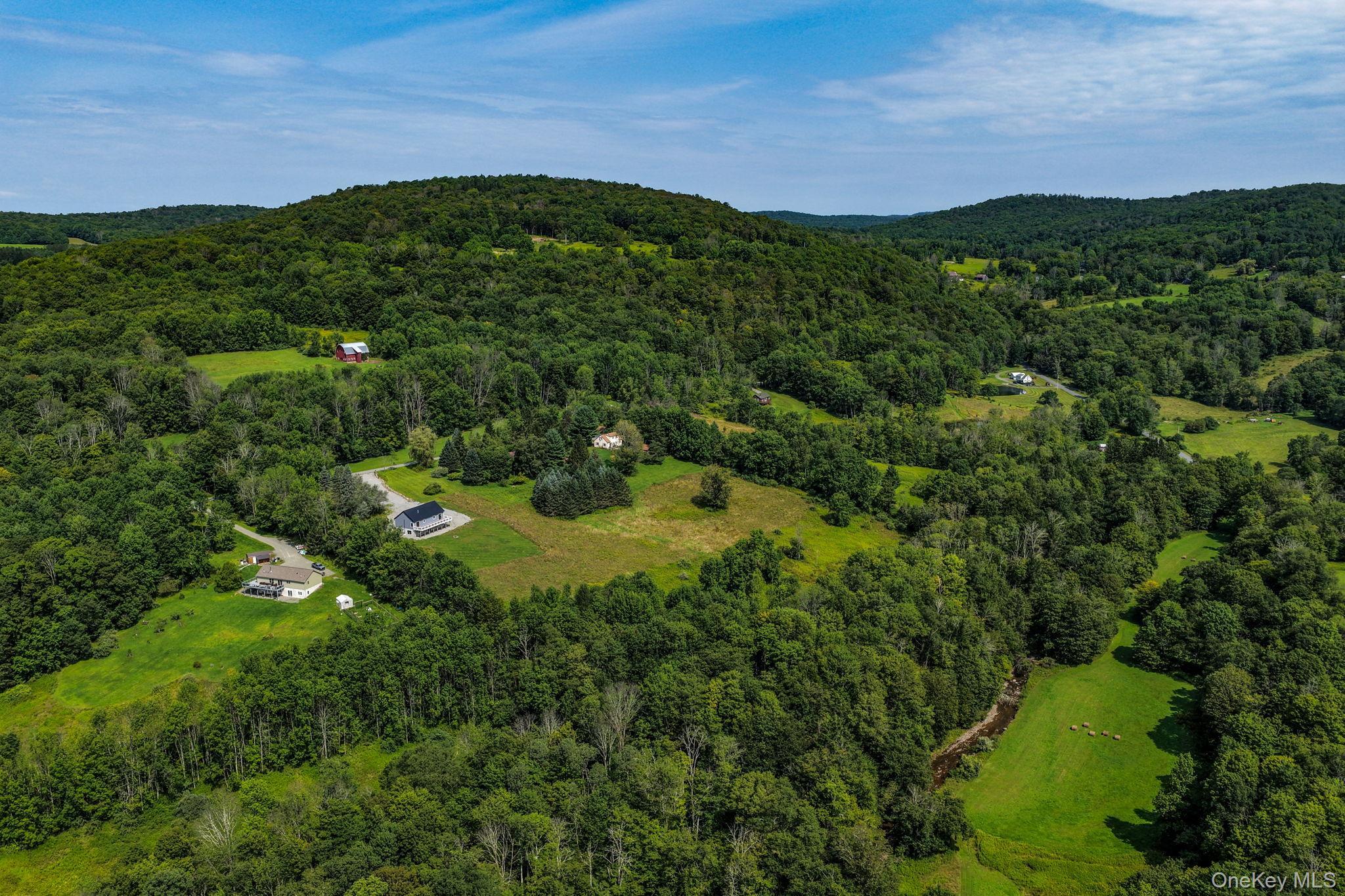 Single Family Nelson Road  Sullivan County, NY 12741, MLS-1027391-41