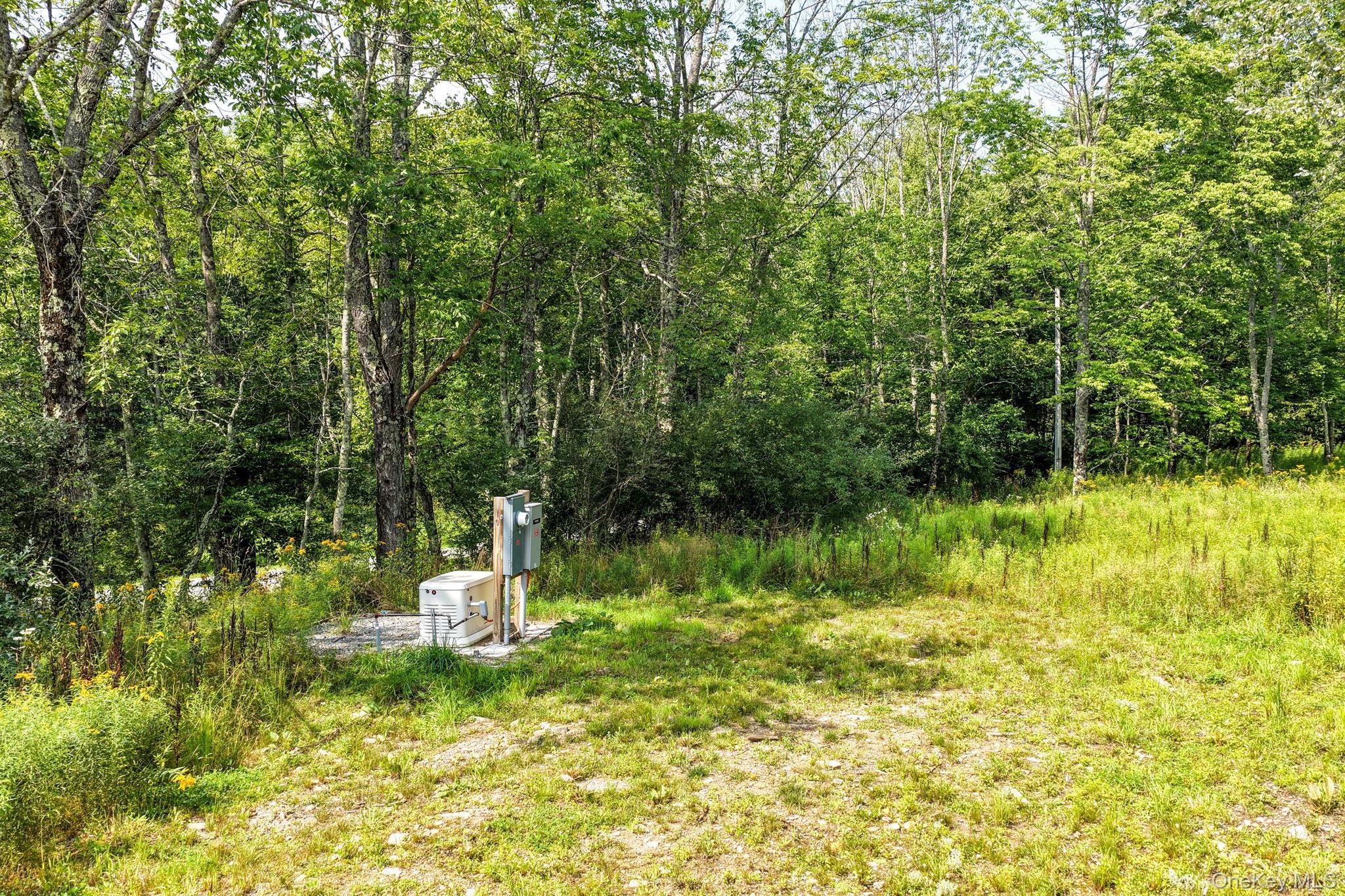 Single Family Nelson Road  Sullivan County, NY 12741, MLS-1027391-45