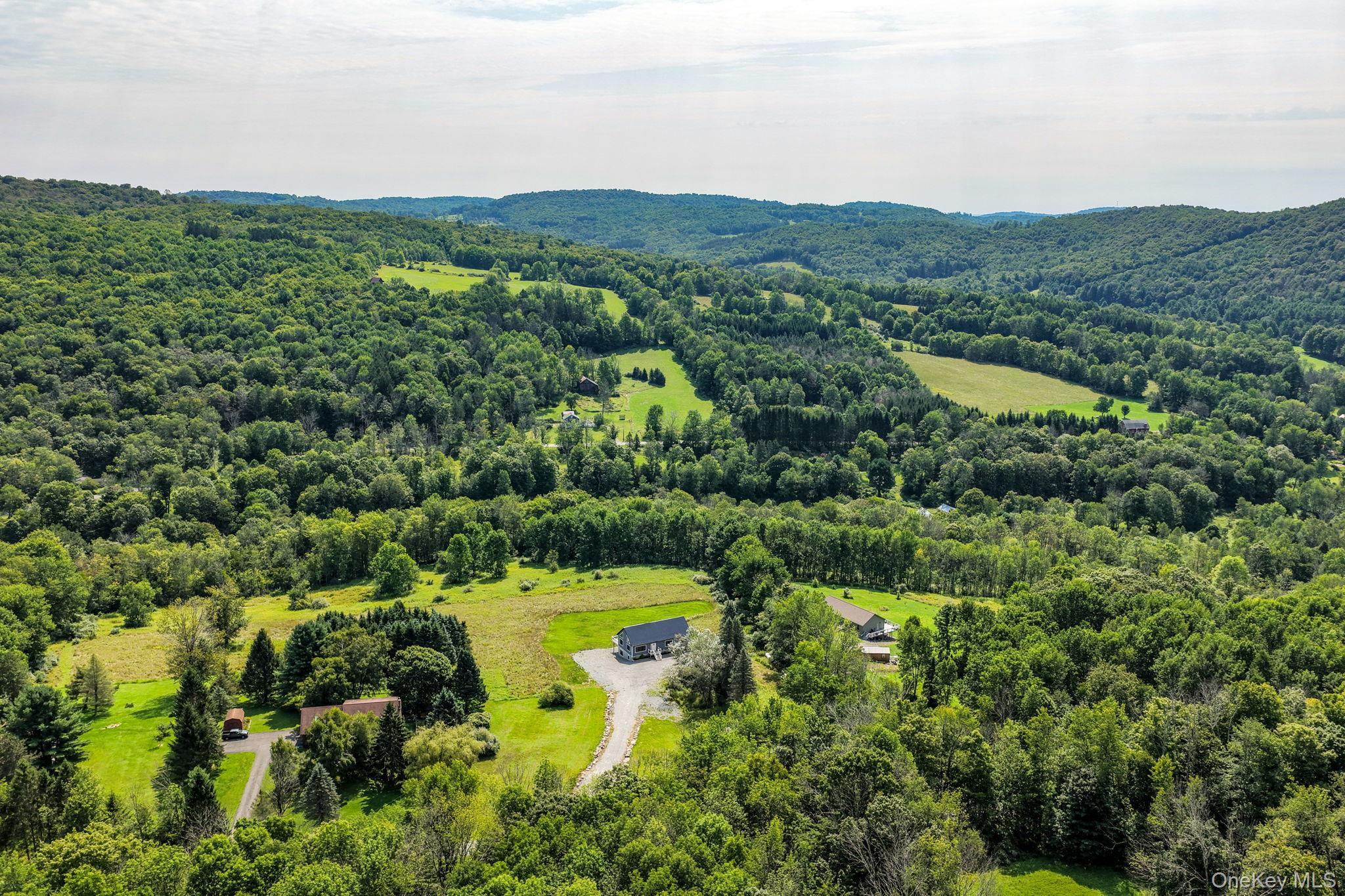Single Family Nelson Road  Sullivan County, NY 12741, MLS-1027391-47