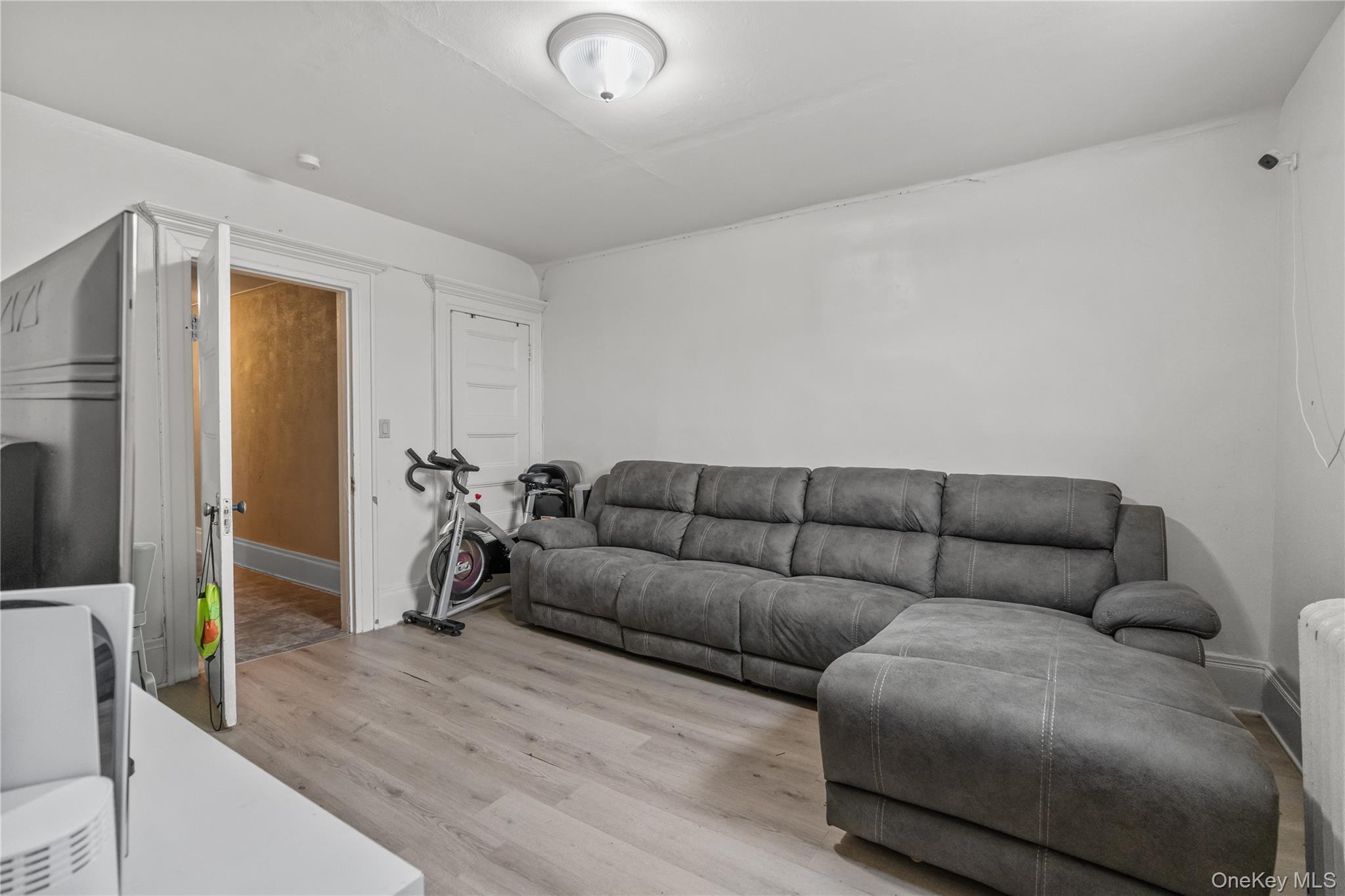 Single Family Palisade Avenue Westchester County, NY 10703, MLS-1027421-30
