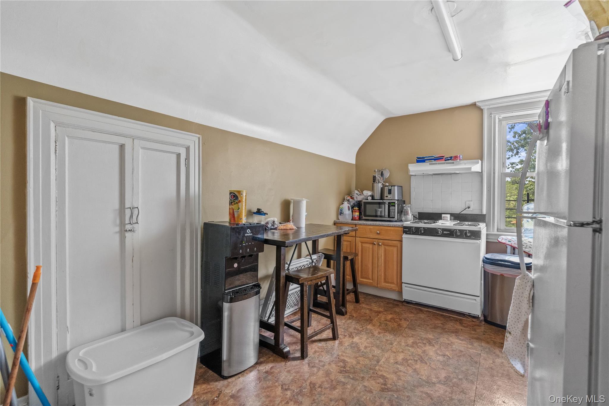 Single Family Palisade Avenue Westchester County, NY 10703, MLS-1027421-32