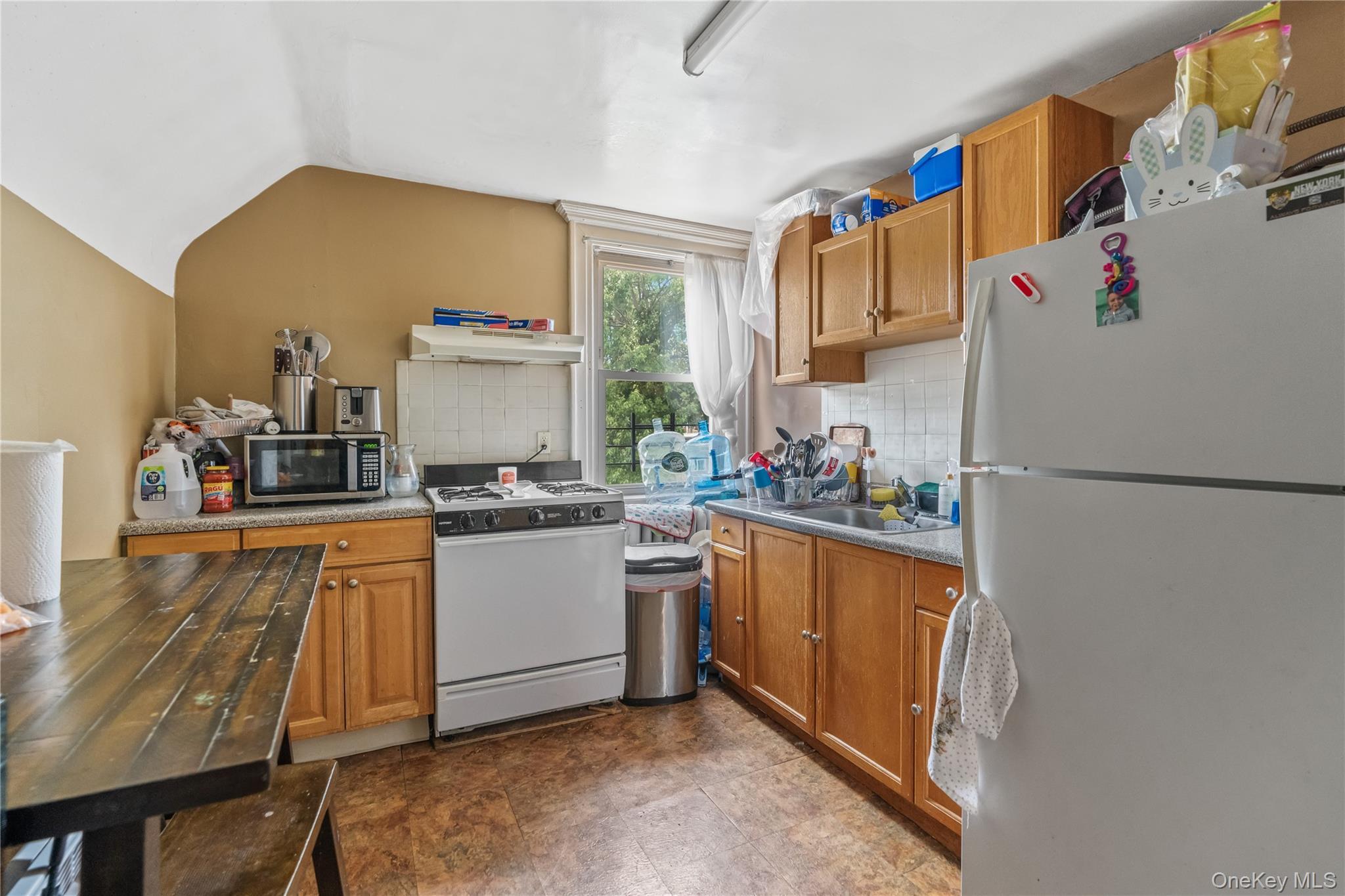 Single Family Palisade Avenue Westchester County, NY 10703, MLS-1027421-33