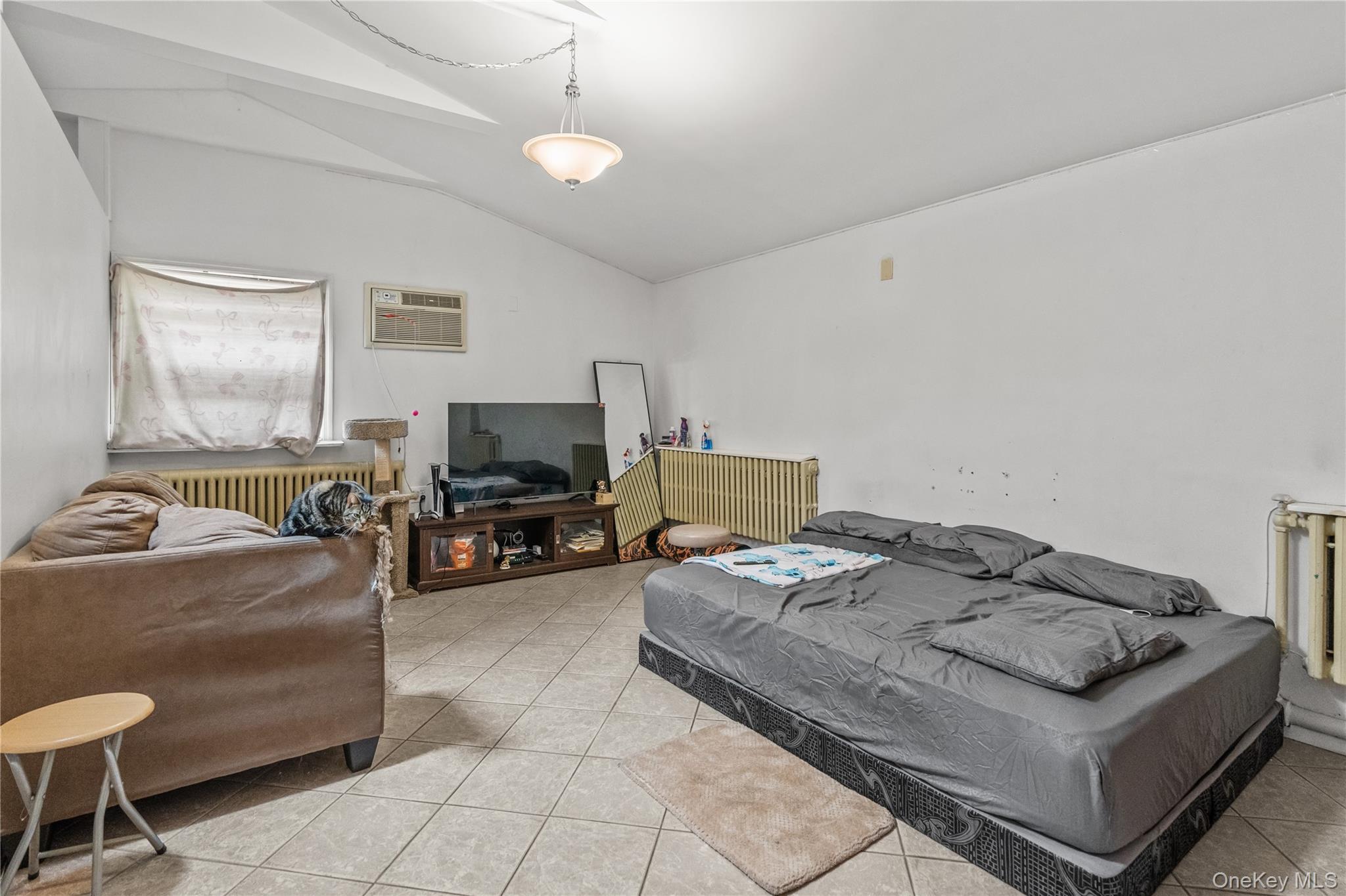 Single Family Palisade Avenue Westchester County, NY 10703, MLS-1027421-40