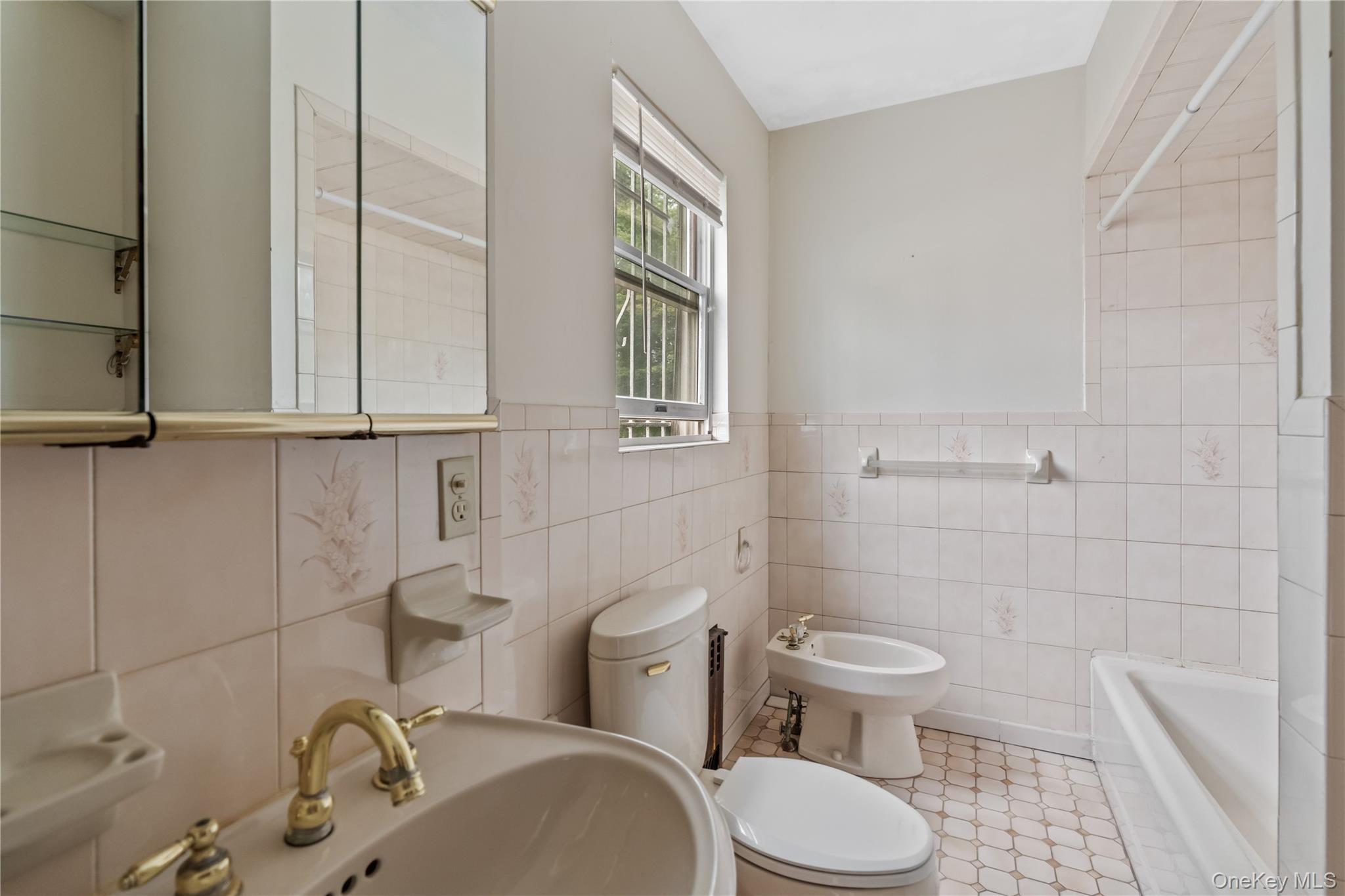 Single Family Palisade Avenue Westchester County, NY 10703, MLS-1027421-8