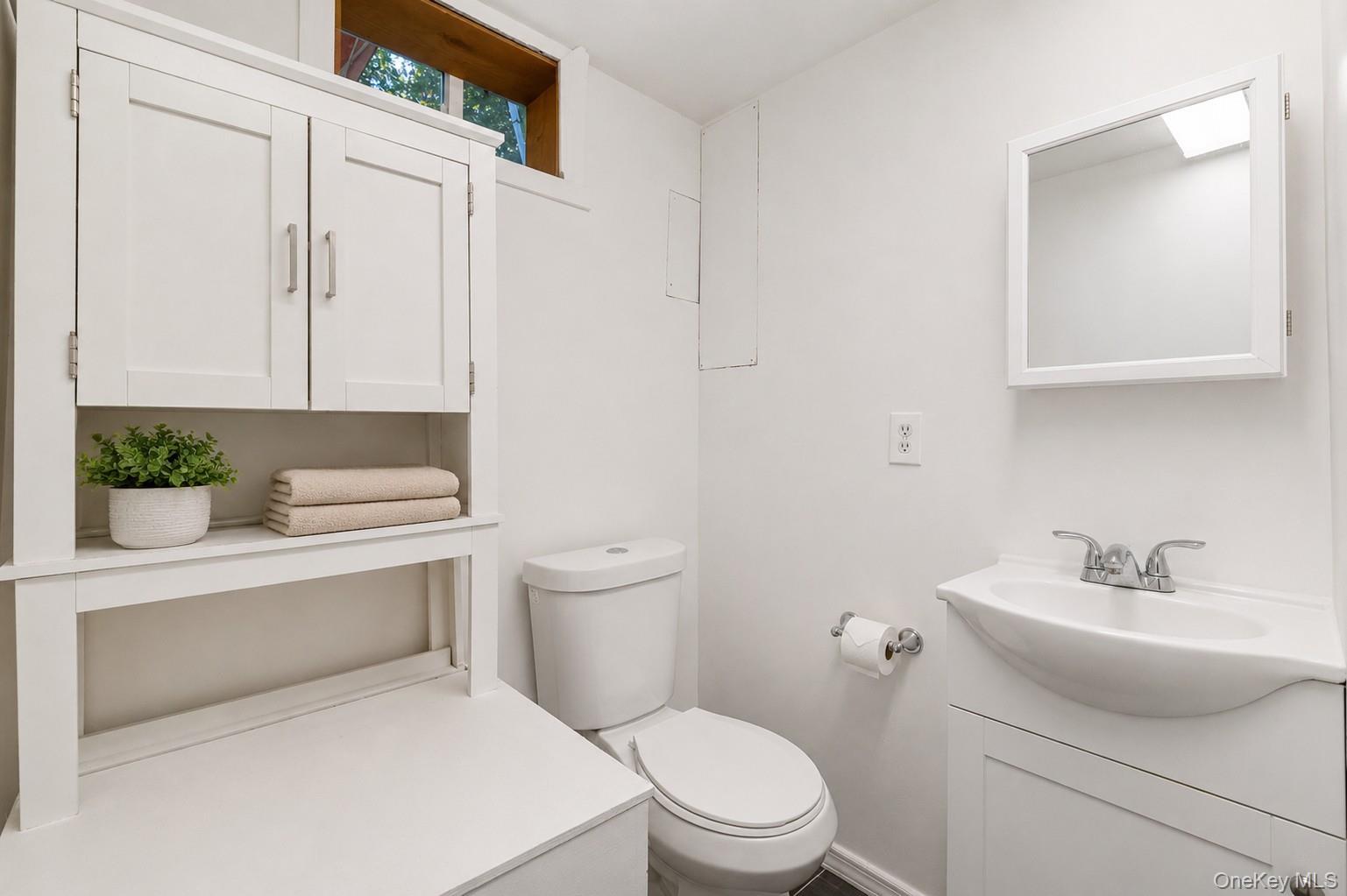 Single Family Marlboro Place Nassau County, NY 11710, MLS-1027555-10