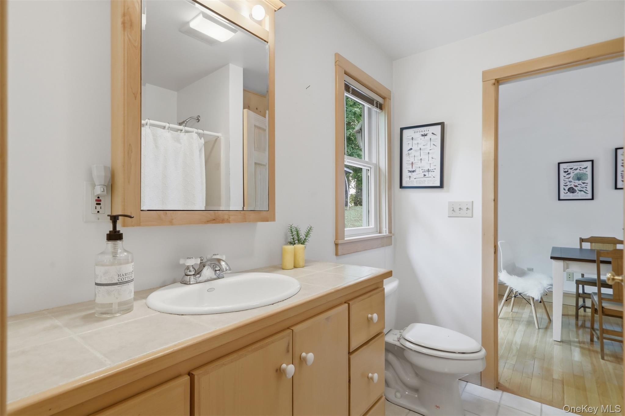 Single Family Atwood Road  Ulster County, NY 12484, MLS-1027647-27