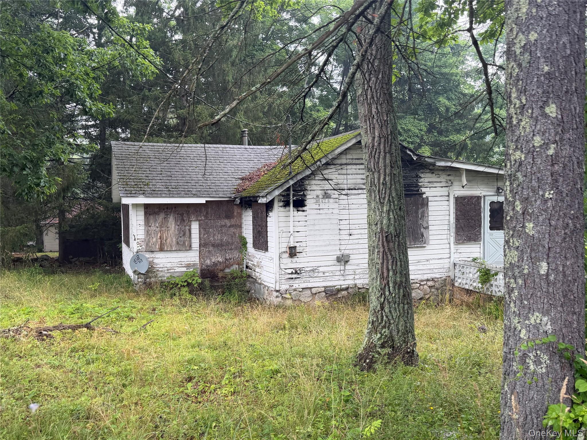Single Family Arbutus Trail  Sullivan County, NY 12790, MLS-1027707-3
