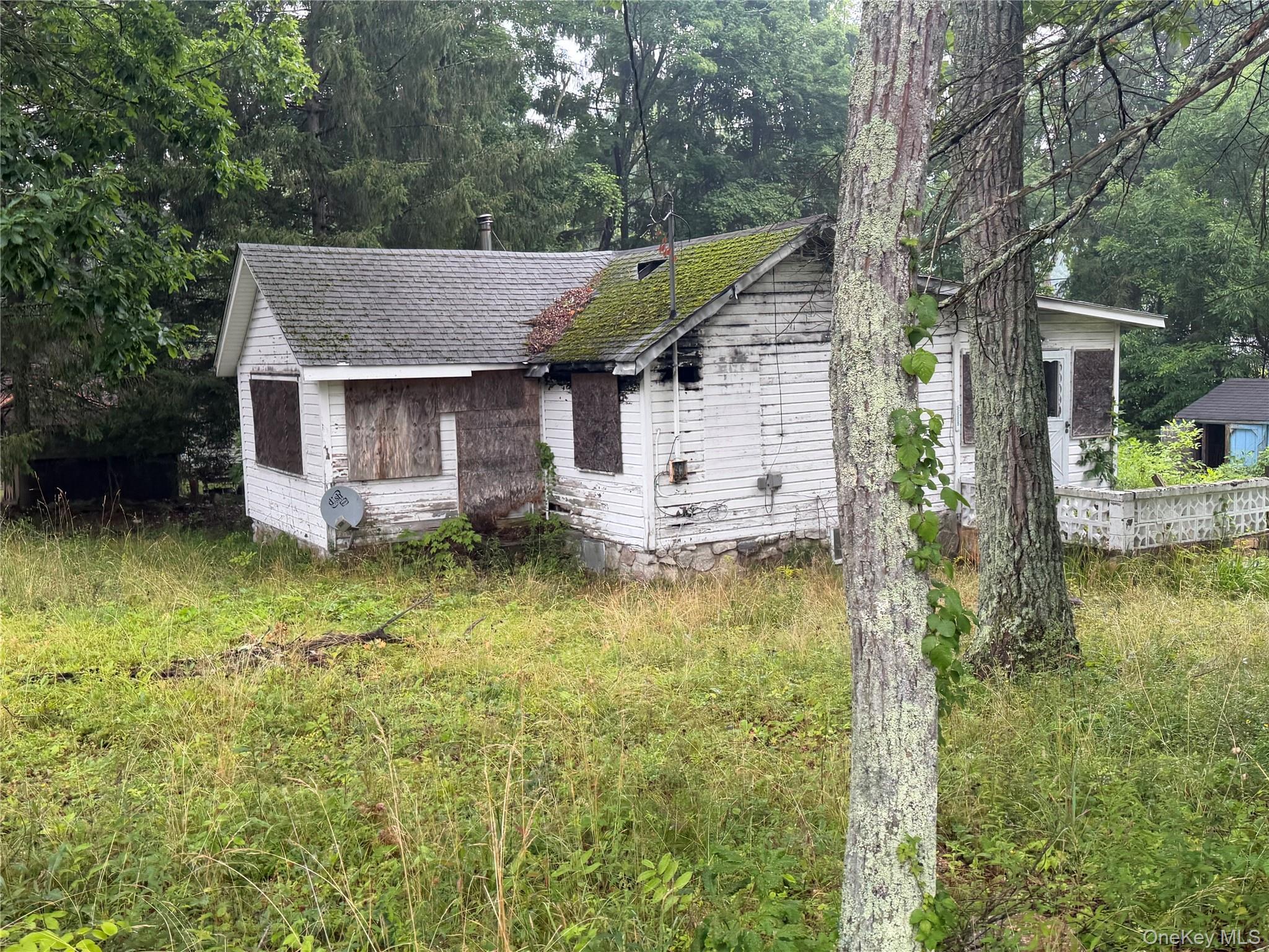 Single Family Arbutus Trail  Sullivan County, NY 12790, MLS-1027707-4