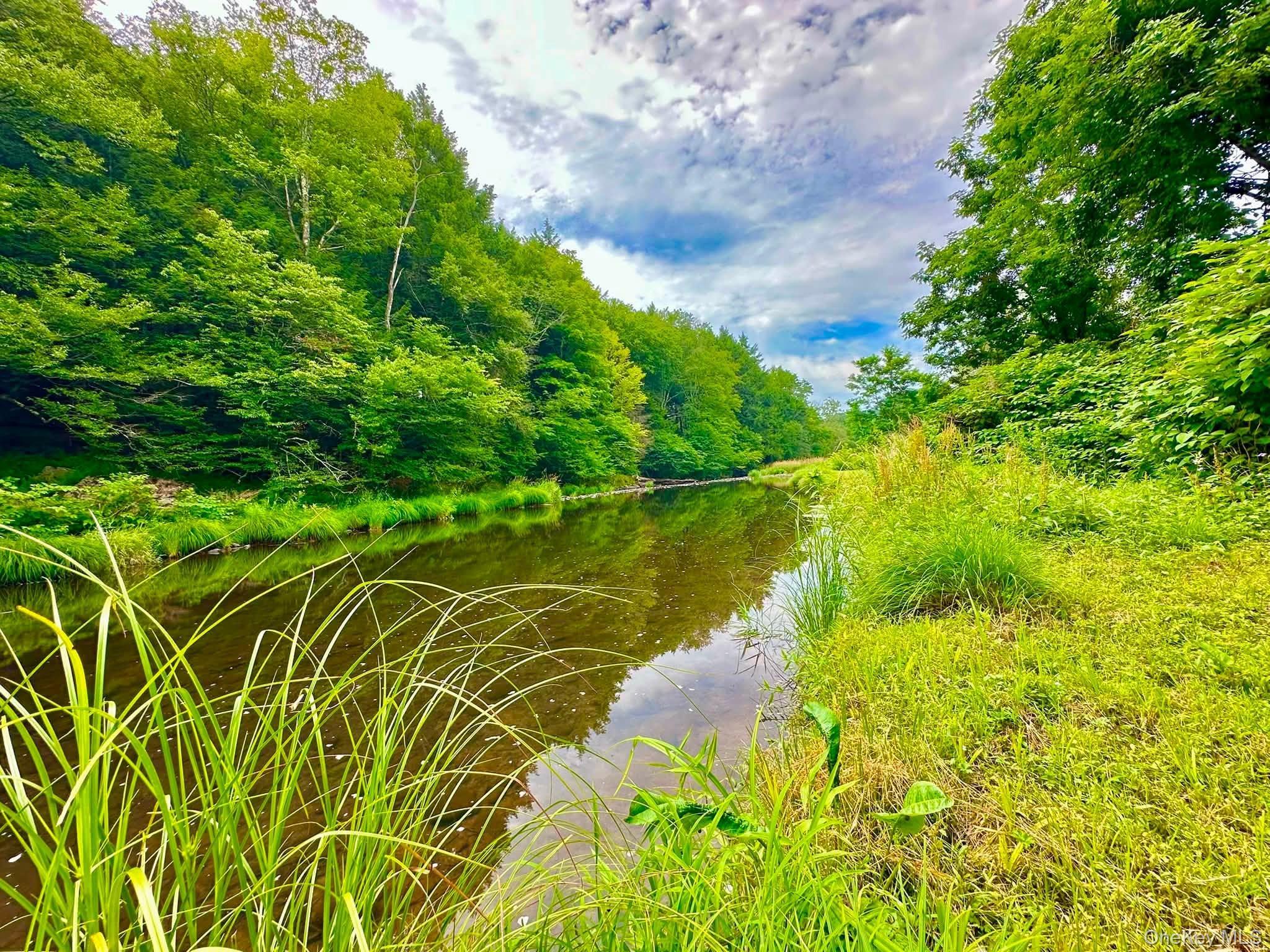 Single Family State Route 52 Sullivan County, NY 12748, MLS-1027722-6