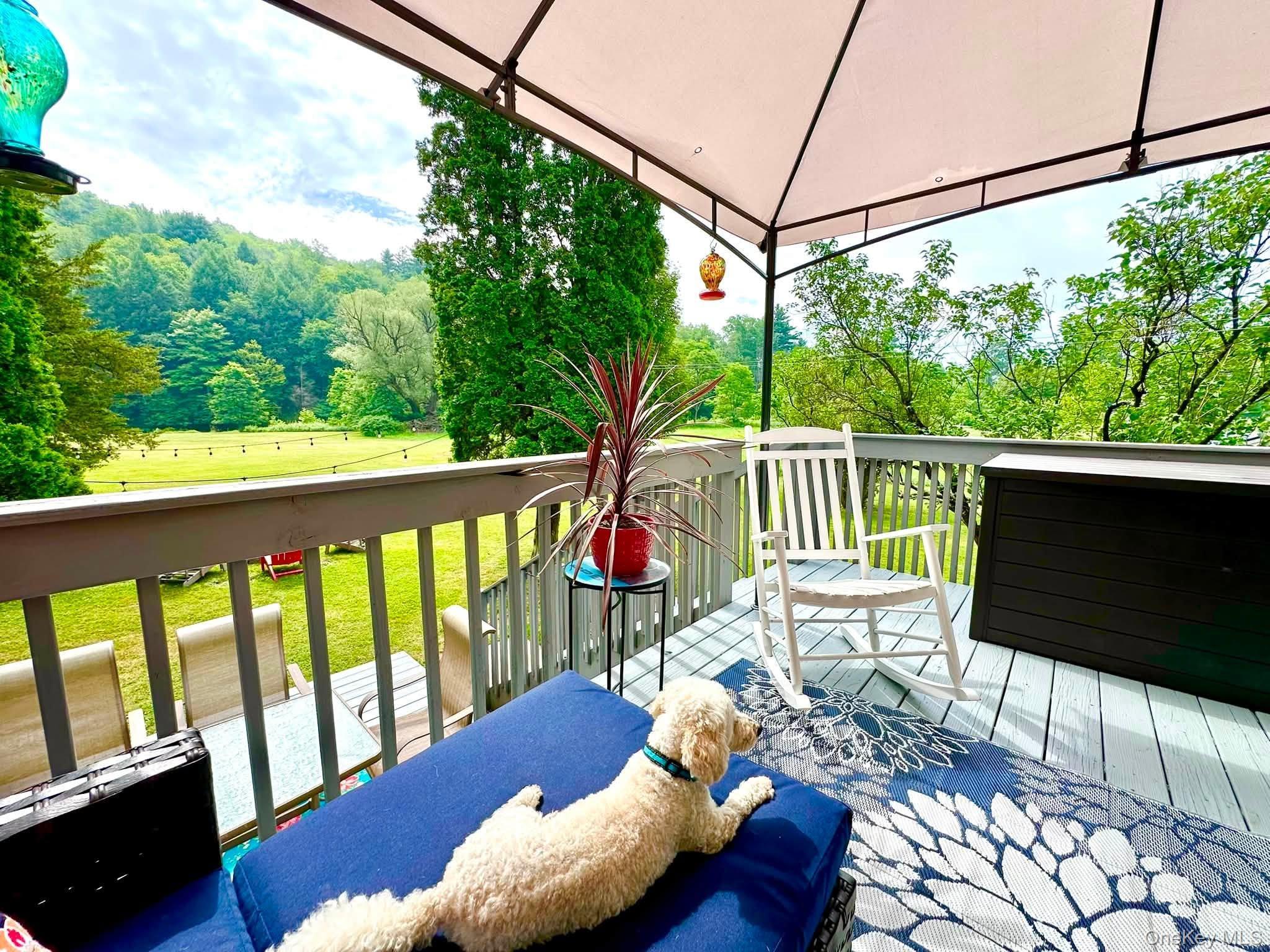 Single Family State Route 52 Sullivan County, NY 12748, MLS-1027722-8