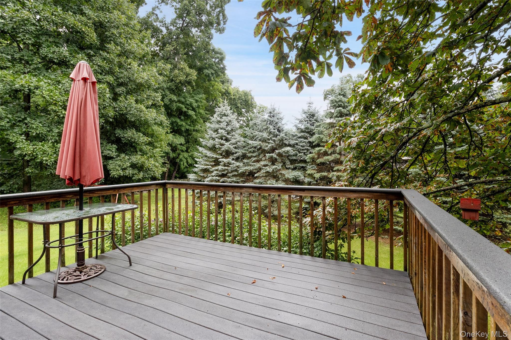 Single Family Somerset Lane Putnam County, NY 10579, MLS-1027729-19