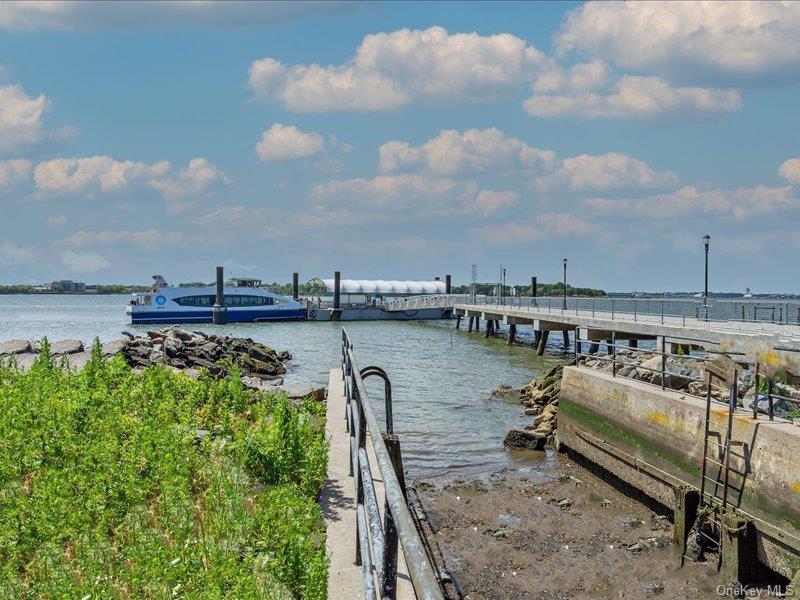 Single Family Harding Park Bronx, NY 10473, MLS-1027747-13