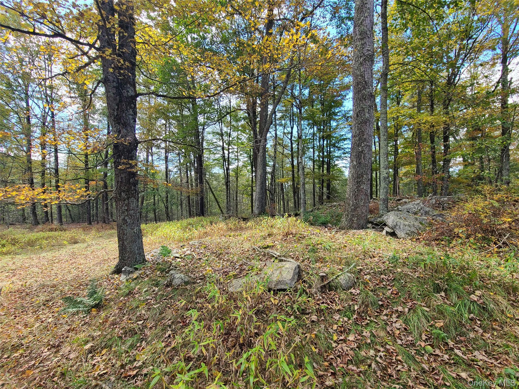 Single Family Hilltop Road Sullivan County, NY 12701, MLS-1027783-12