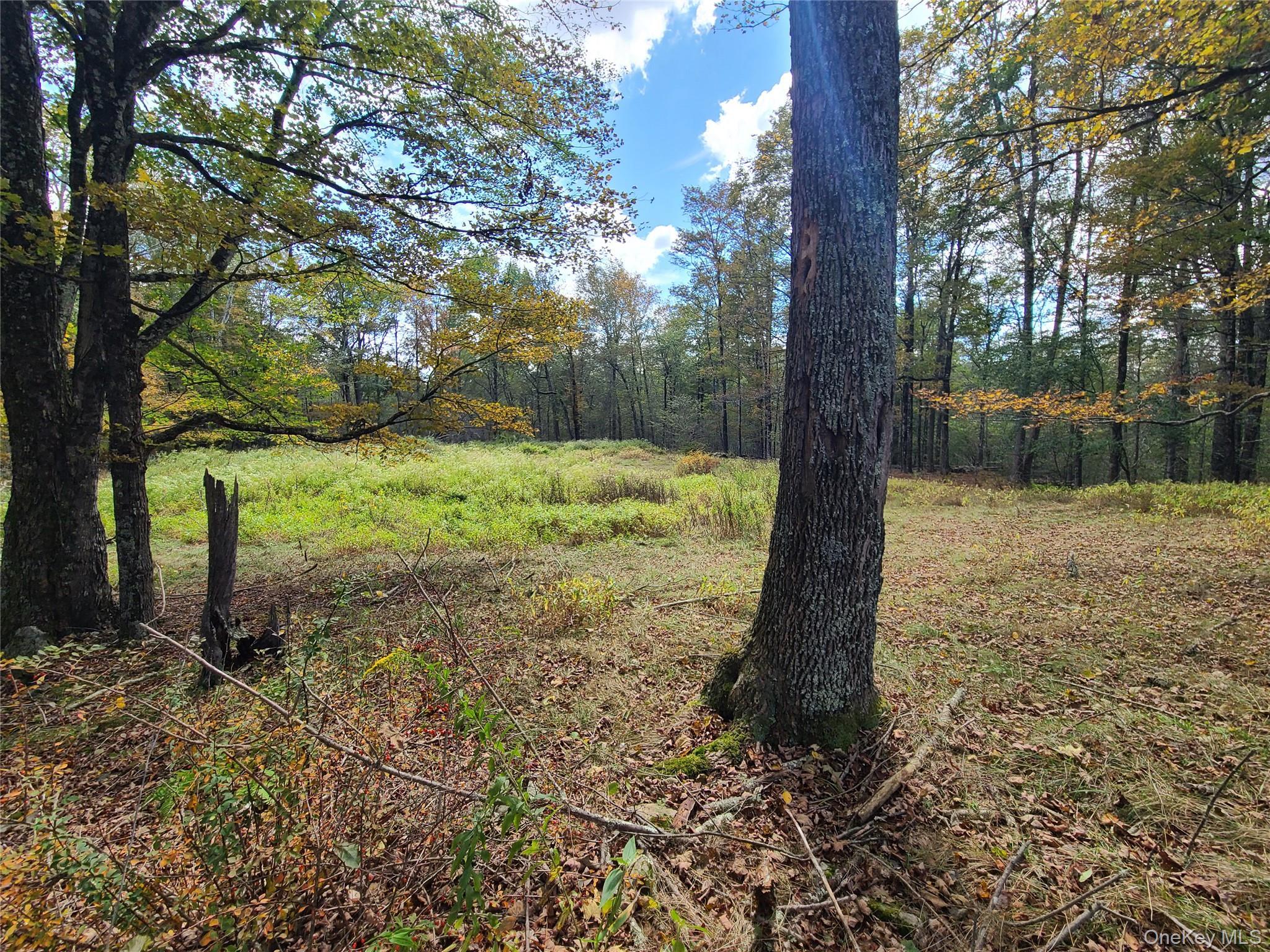 Single Family Hilltop Road Sullivan County, NY 12701, MLS-1027783-13