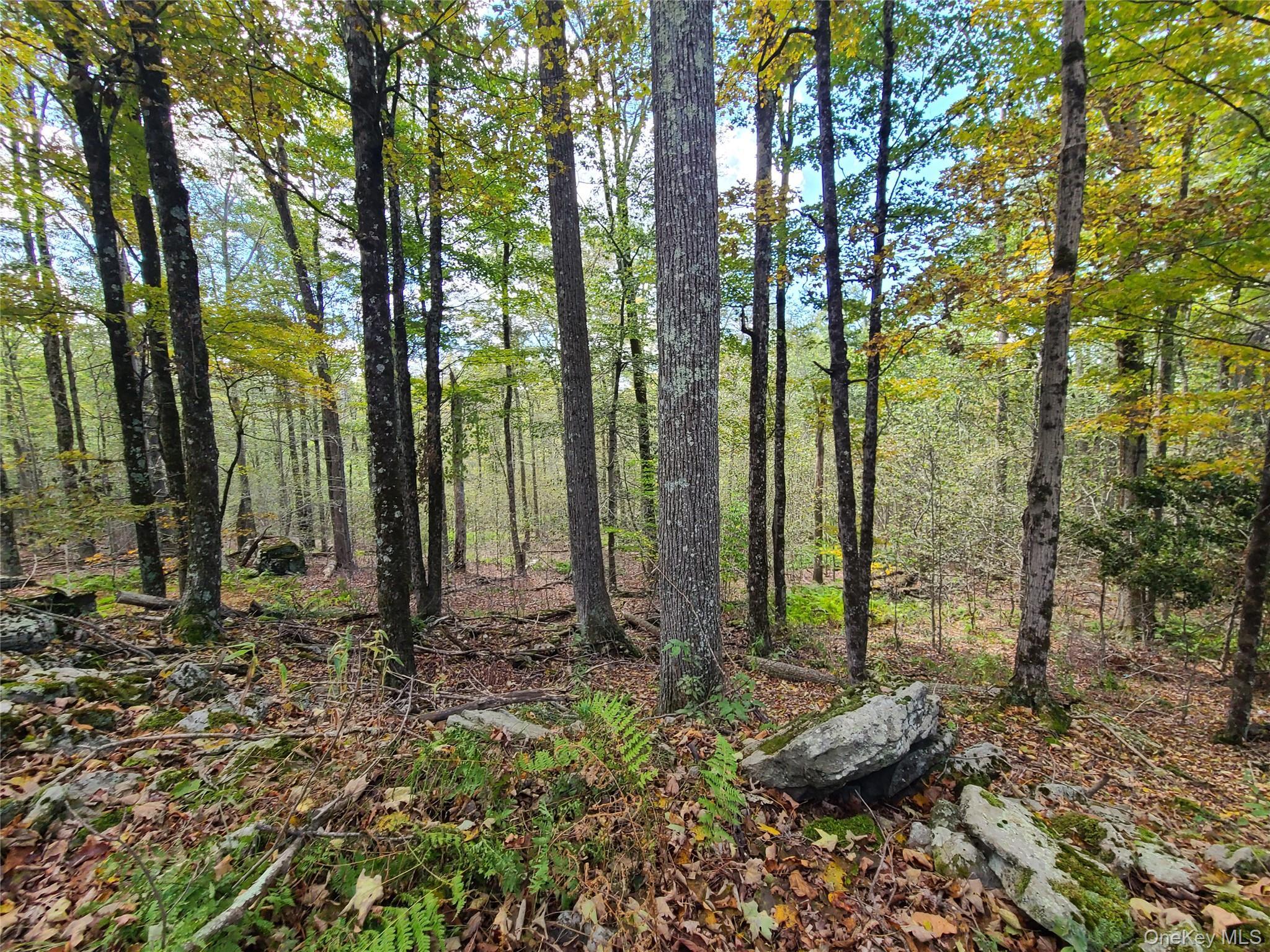 Single Family Hilltop Road Sullivan County, NY 12701, MLS-1027783-14
