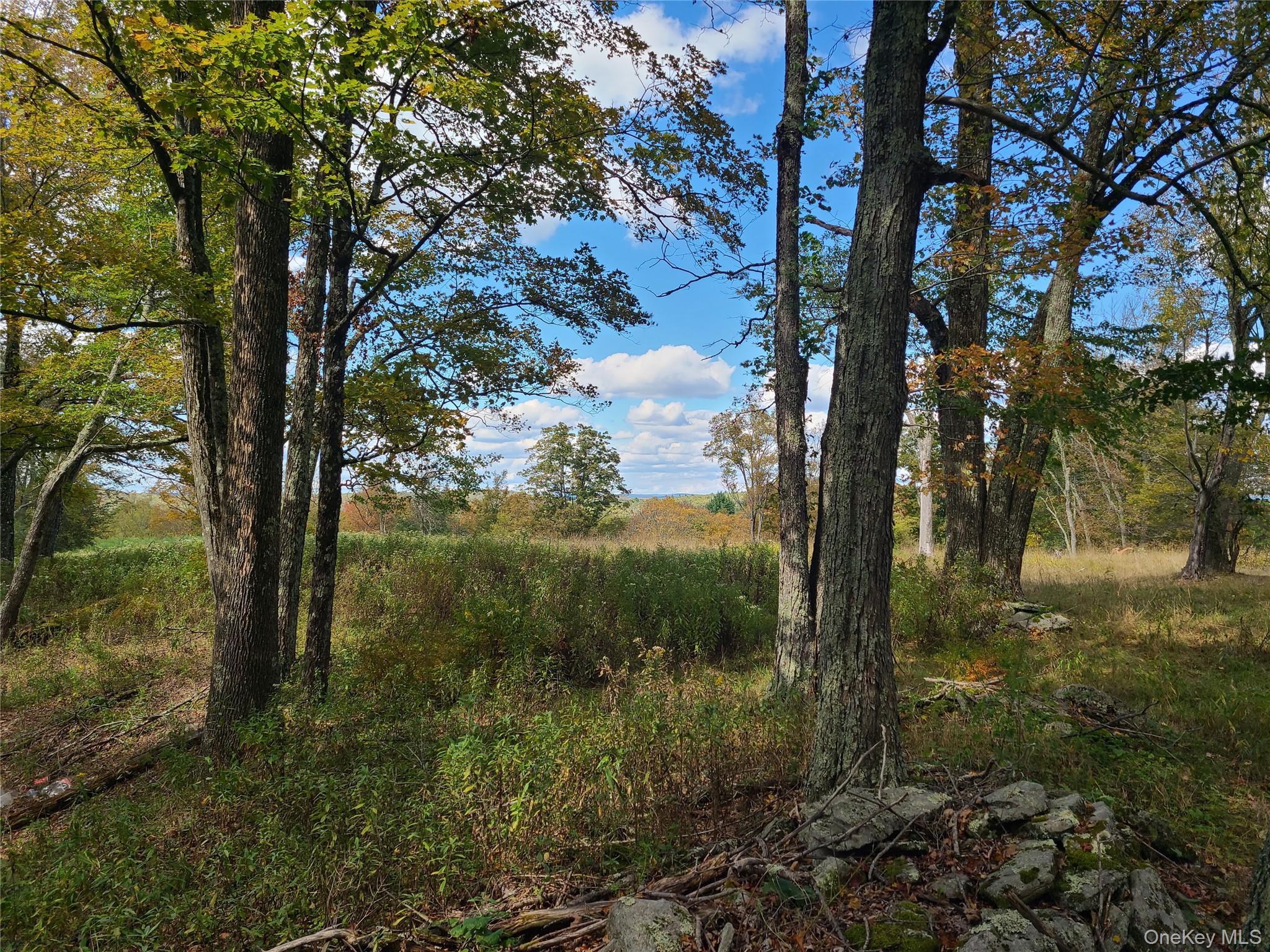 Single Family Hilltop Road Sullivan County, NY 12701, MLS-1027783-15