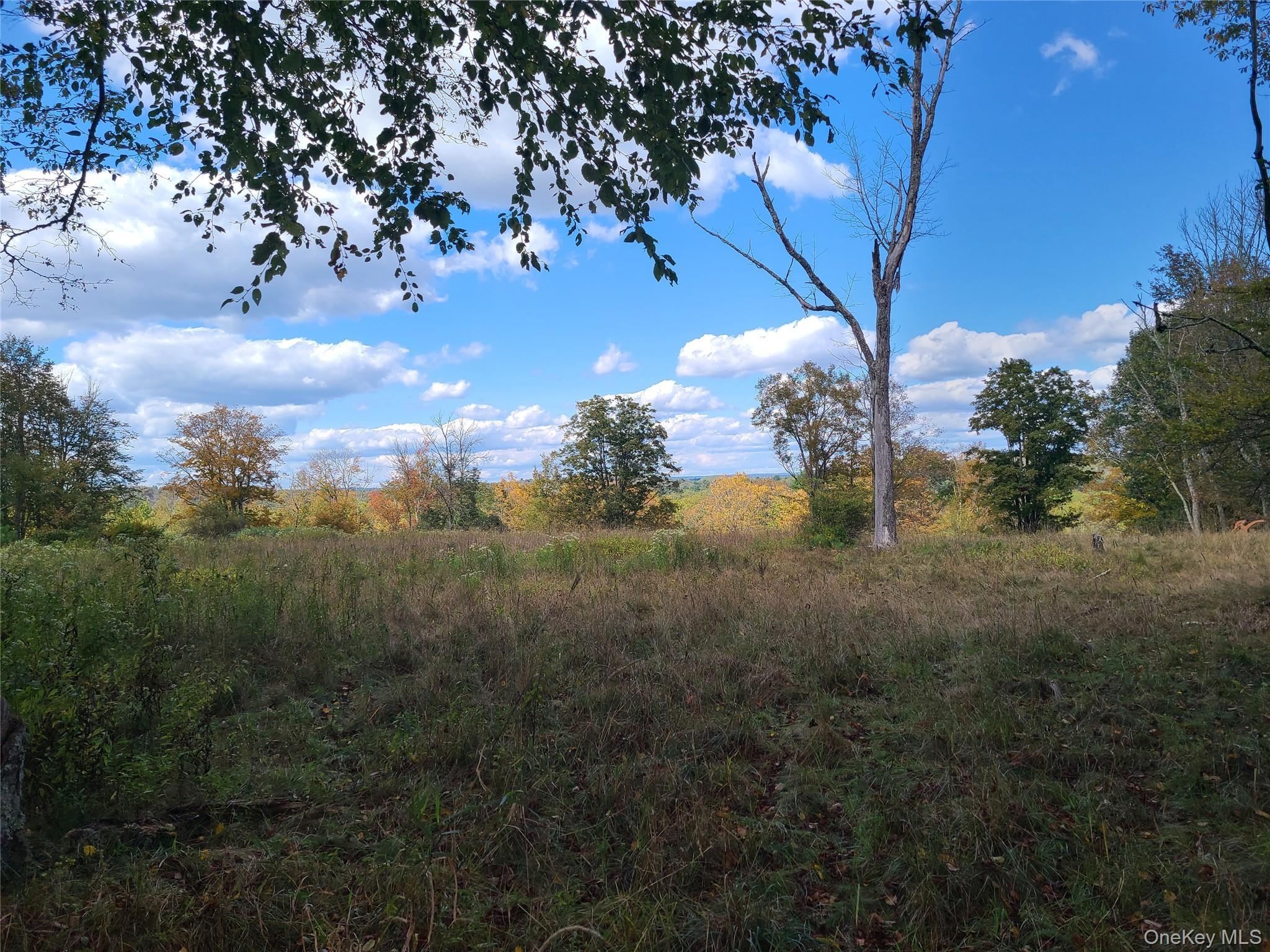 Single Family Hilltop Road Sullivan County, NY 12701, MLS-1027783-16