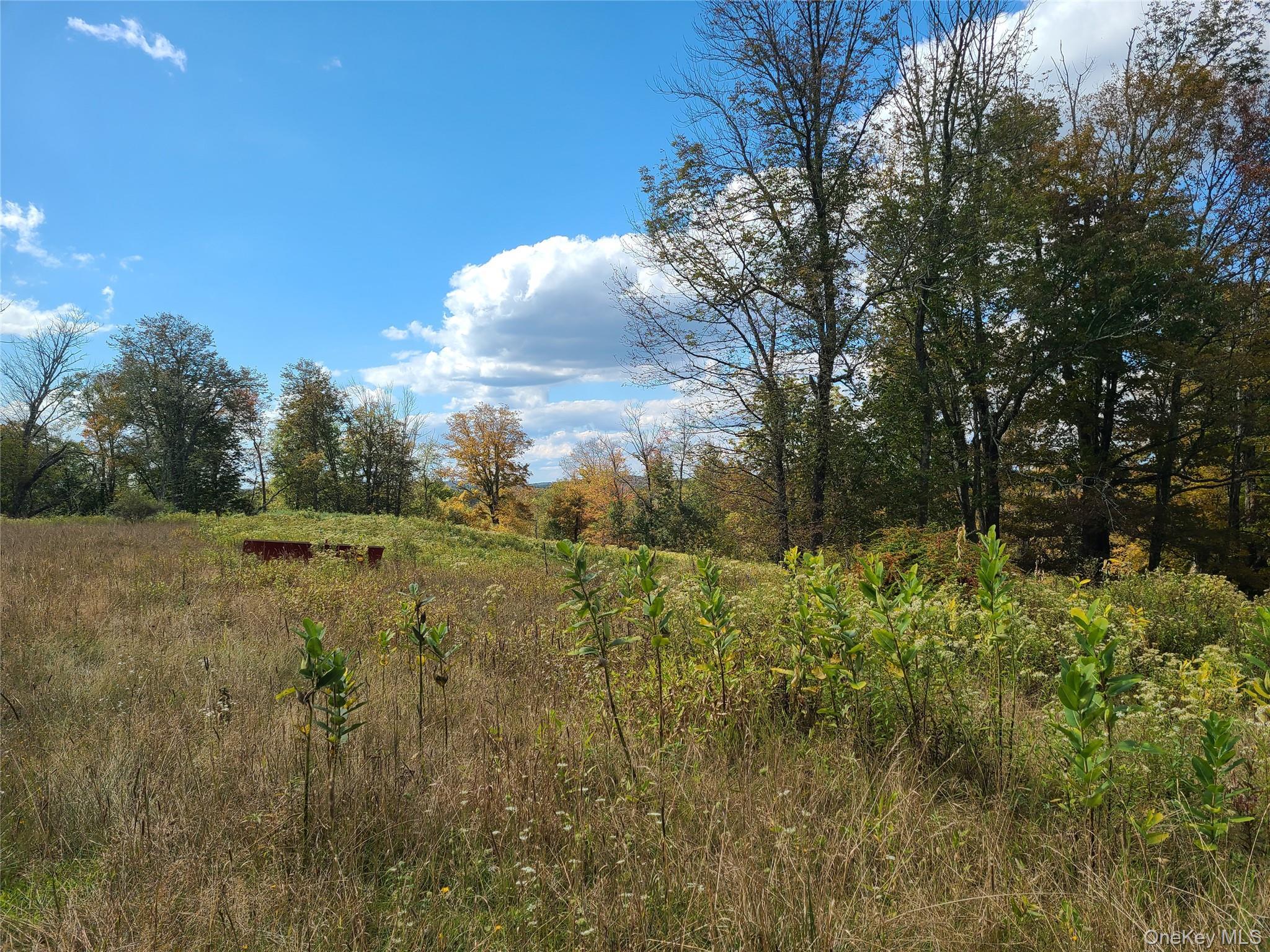 Single Family Hilltop Road Sullivan County, NY 12701, MLS-1027783-19