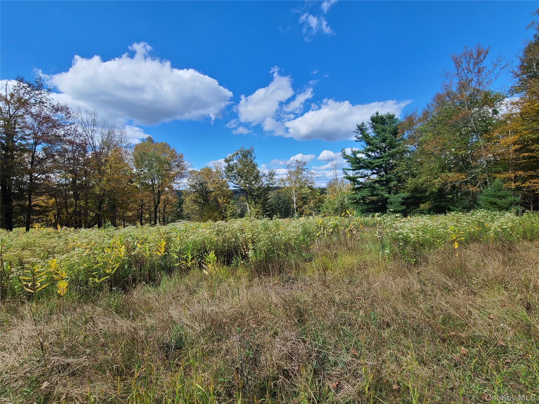 Single Family Hilltop Road Sullivan County, NY 12701, MLS-1027783-20