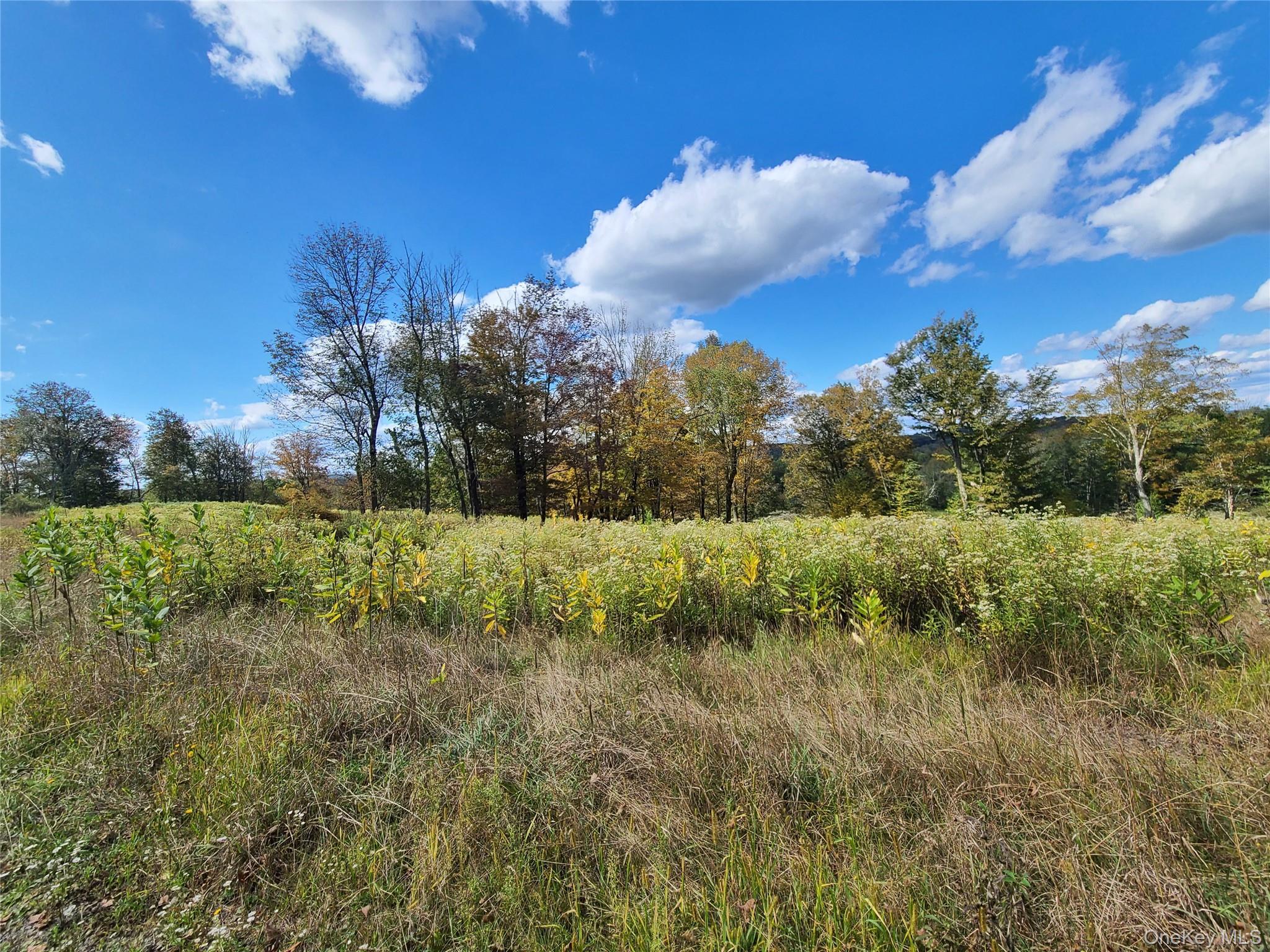 Single Family Hilltop Road Sullivan County, NY 12701, MLS-1027783-21