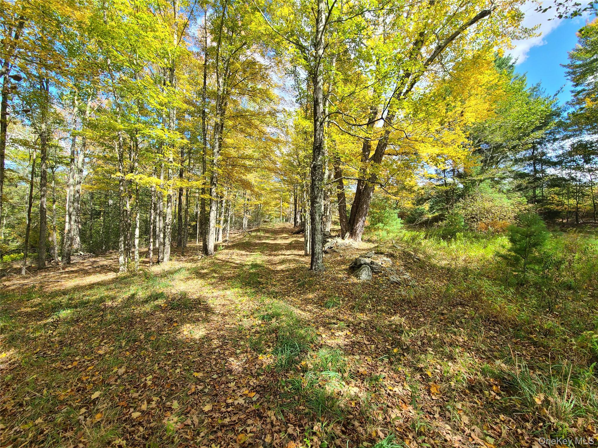 Single Family Hilltop Road Sullivan County, NY 12701, MLS-1027783-22