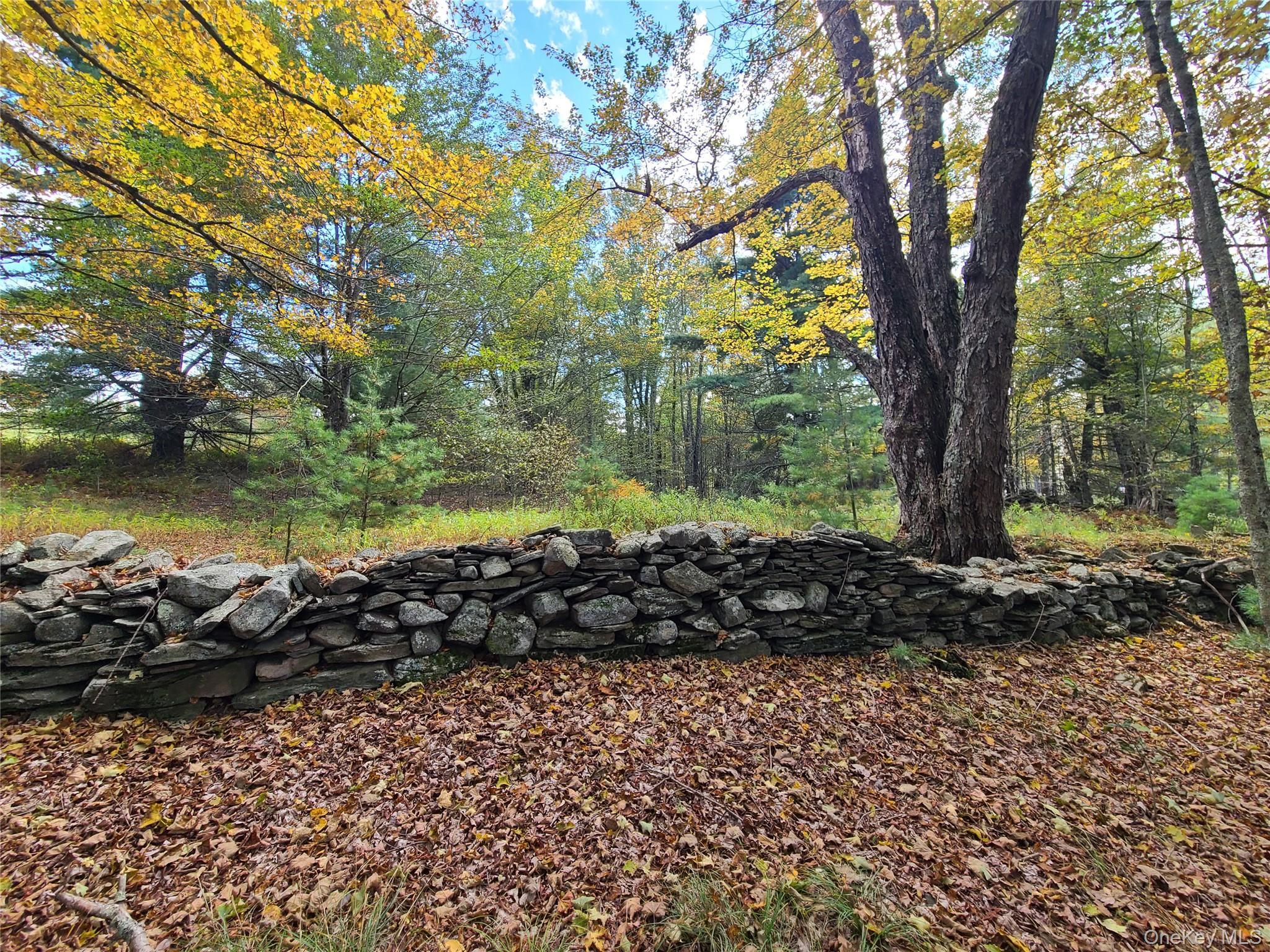 Single Family Hilltop Road Sullivan County, NY 12701, MLS-1027783-23