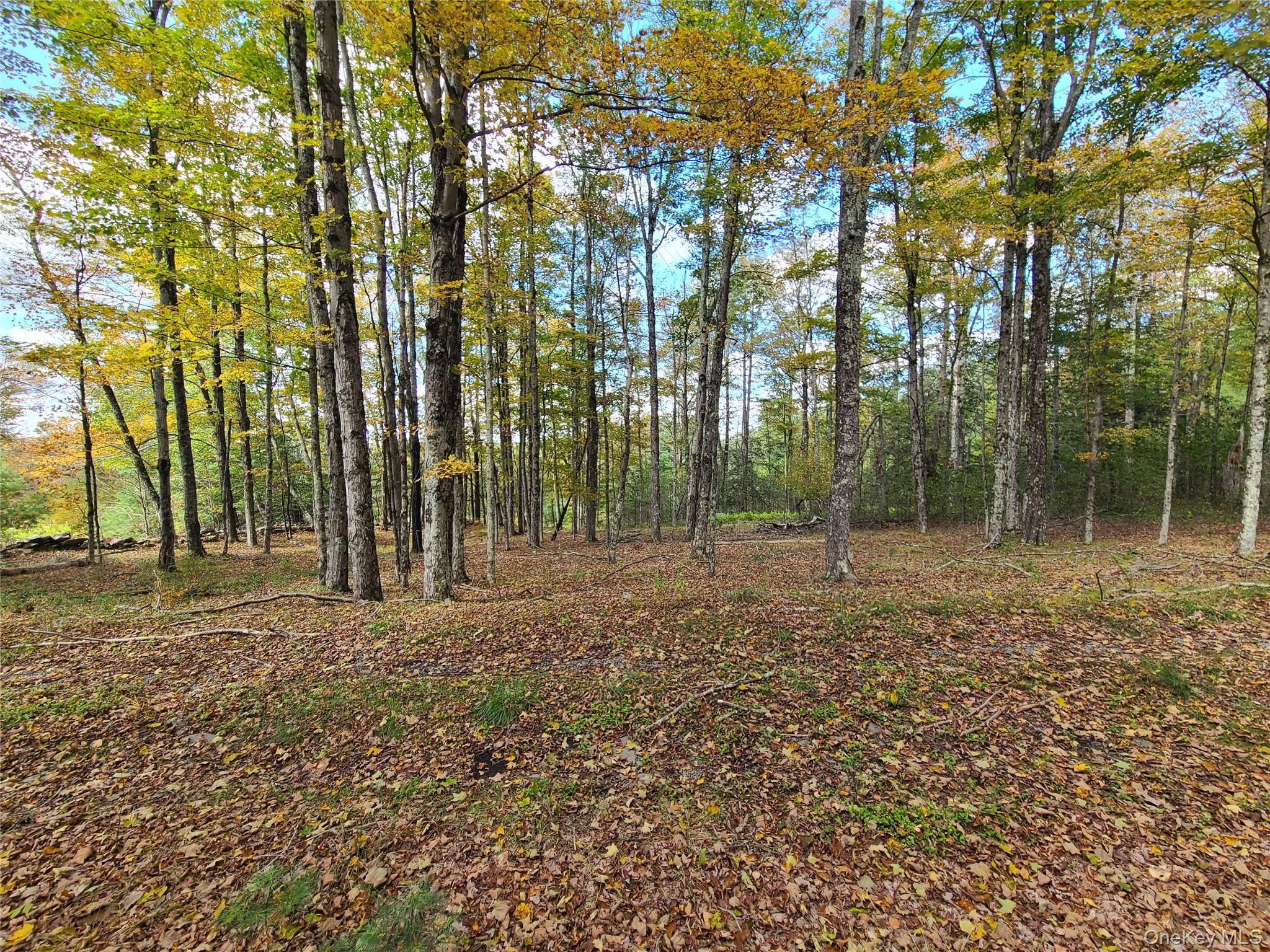 Single Family Hilltop Road Sullivan County, NY 12701, MLS-1027783-24