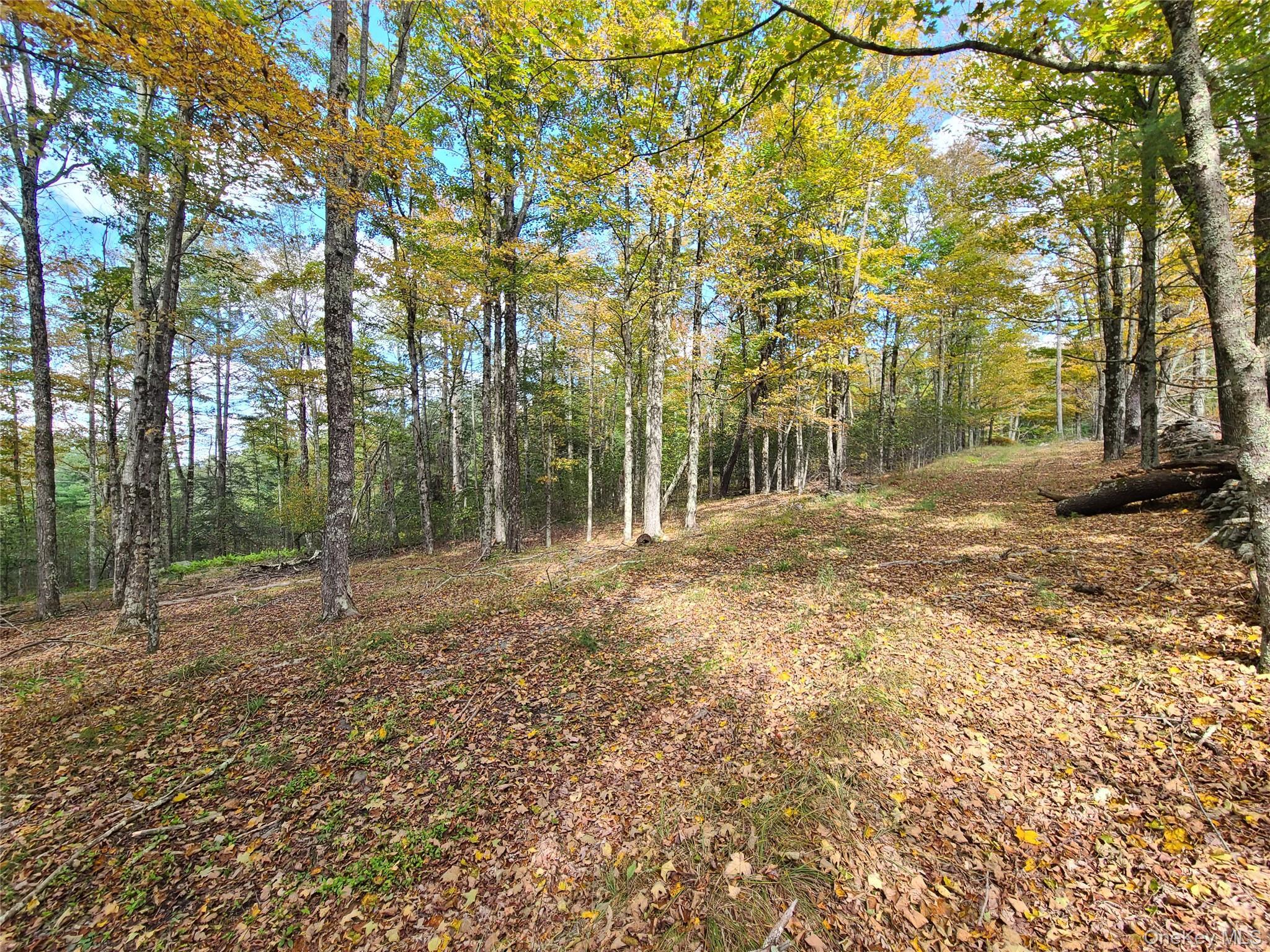 Single Family Hilltop Road Sullivan County, NY 12701, MLS-1027783-25