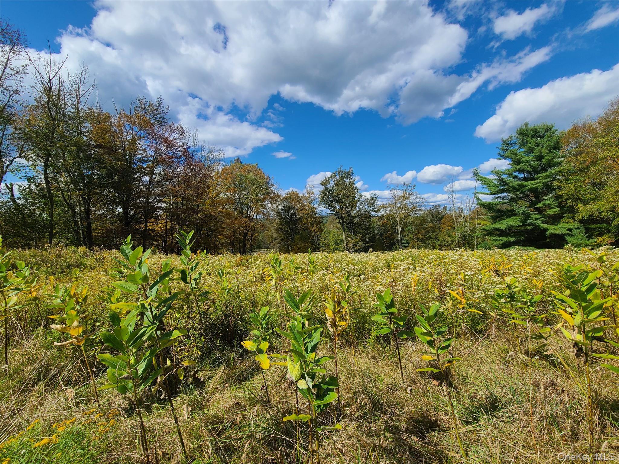 Single Family Hilltop Road Sullivan County, NY 12701, MLS-1027783-27