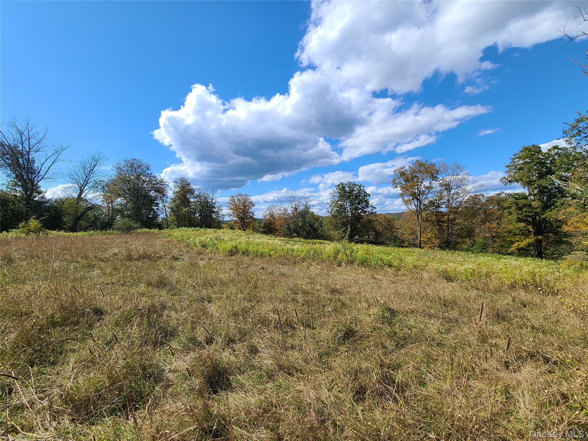 Single Family Hilltop Road Sullivan County, NY 12701, MLS-1027783-28