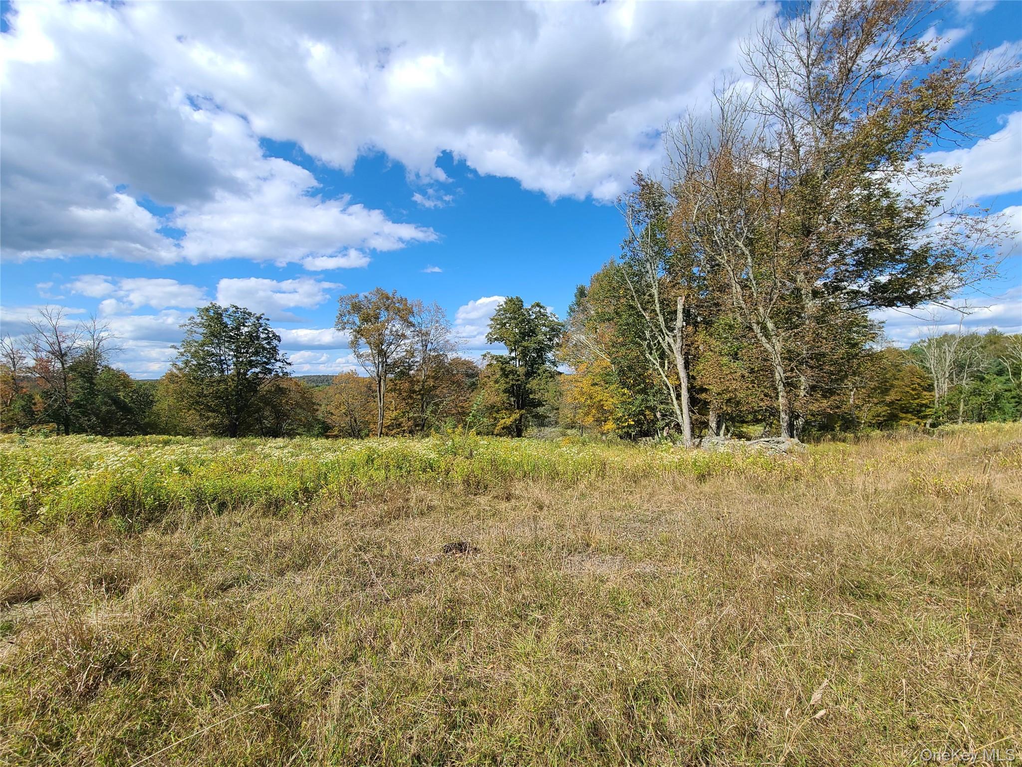 Single Family Hilltop Road Sullivan County, NY 12701, MLS-1027783-29