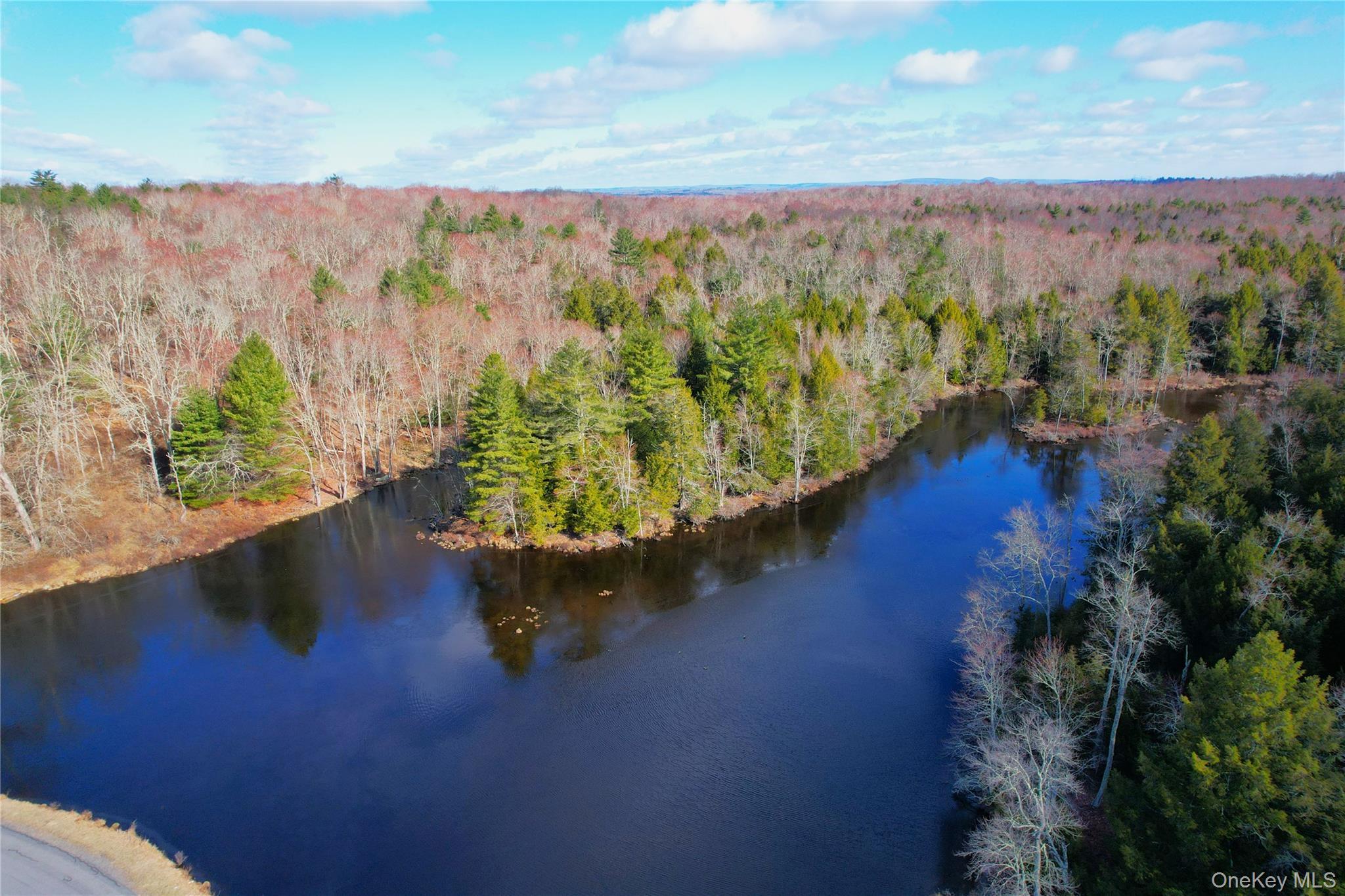 Single Family Hilltop Road Sullivan County, NY 12701, MLS-1027783-4
