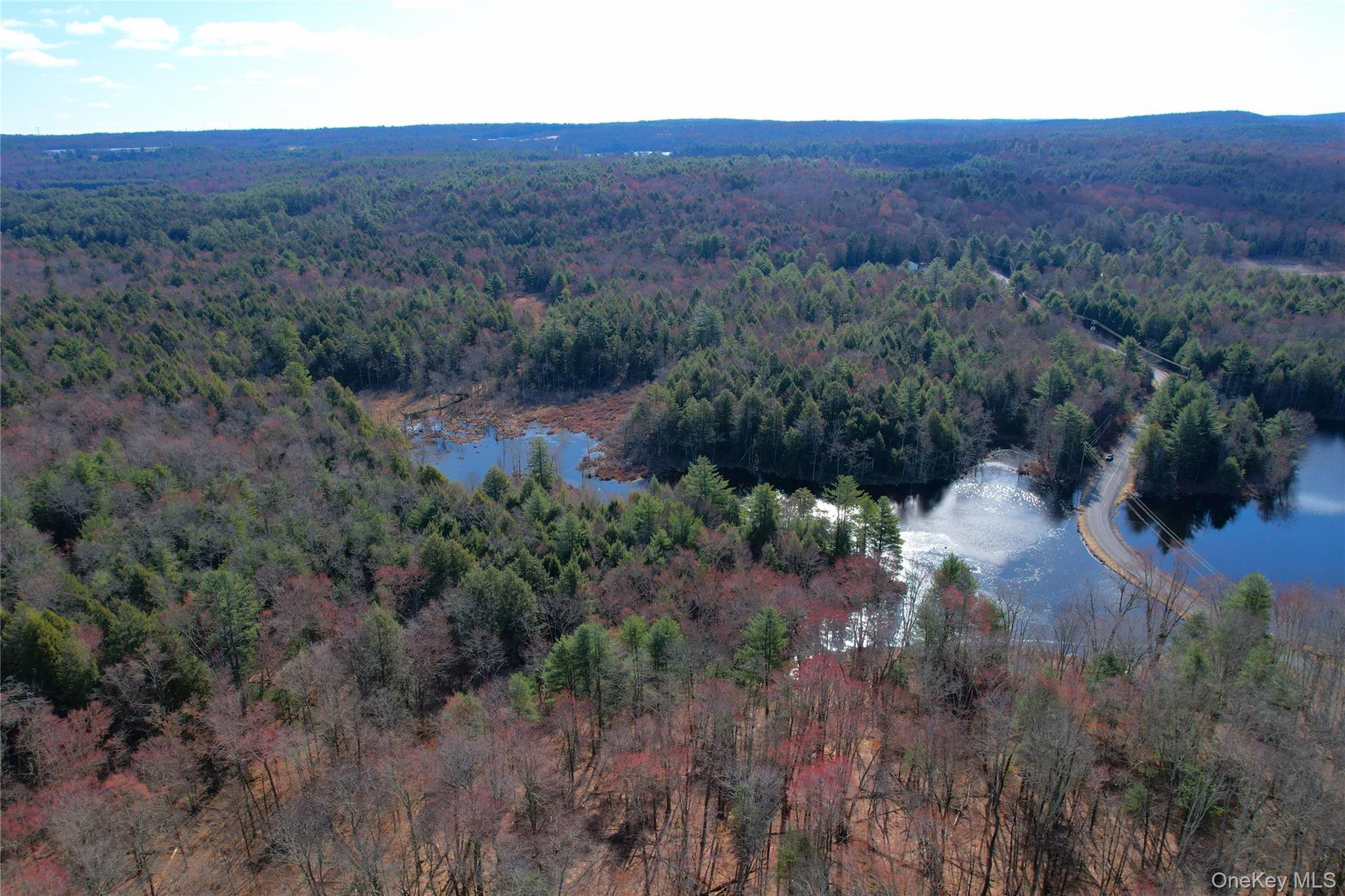 Single Family Hilltop Road Sullivan County, NY 12701, MLS-1027783-42