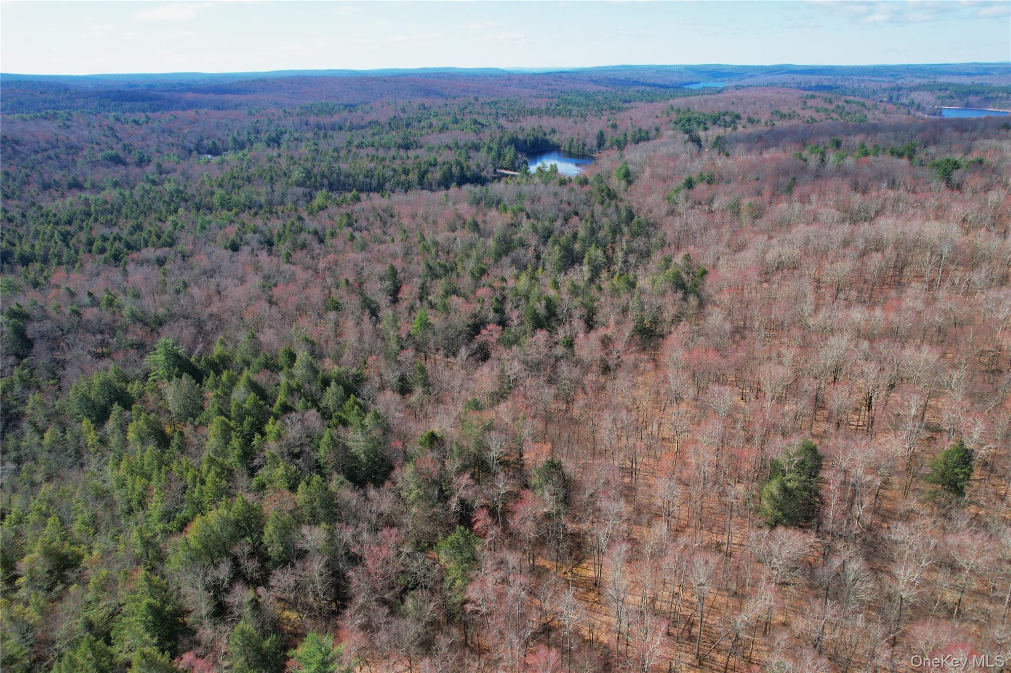 Single Family Hilltop Road Sullivan County, NY 12701, MLS-1027783-43