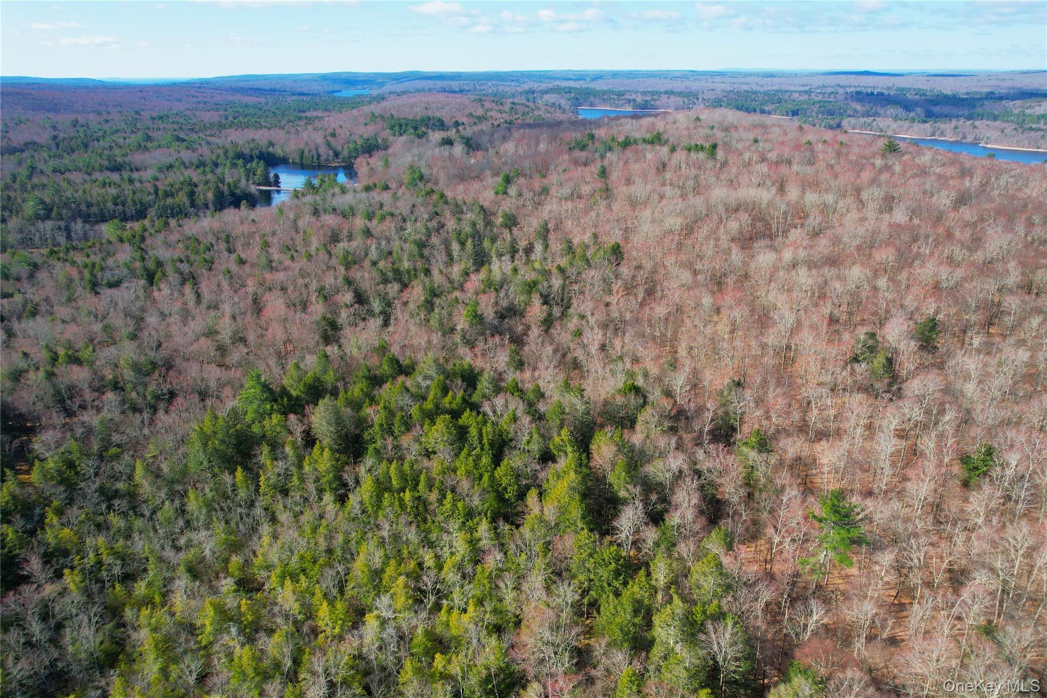 Single Family Hilltop Road Sullivan County, NY 12701, MLS-1027783-44