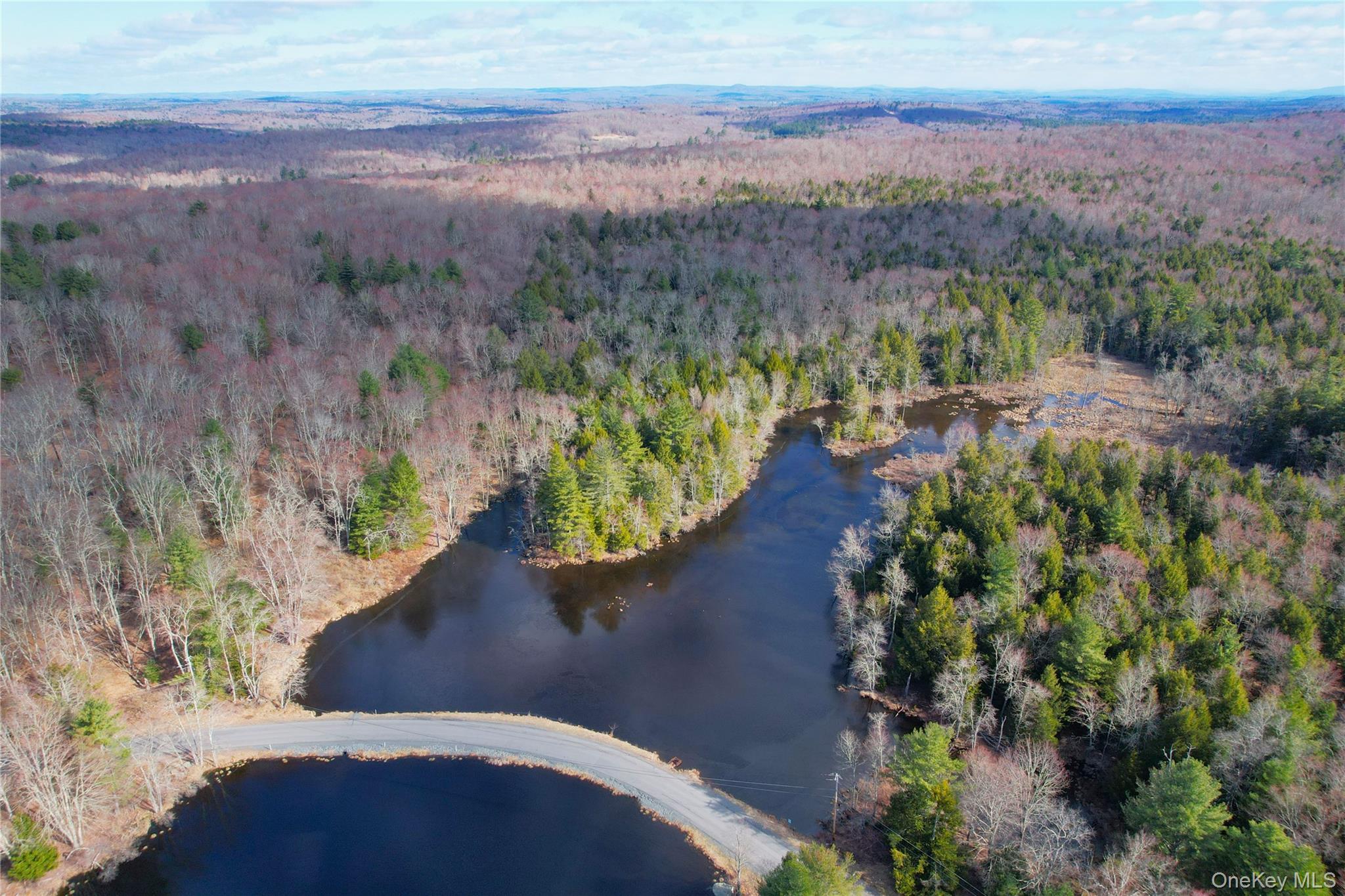 Single Family Hilltop Road Sullivan County, NY 12701, MLS-1027783-45